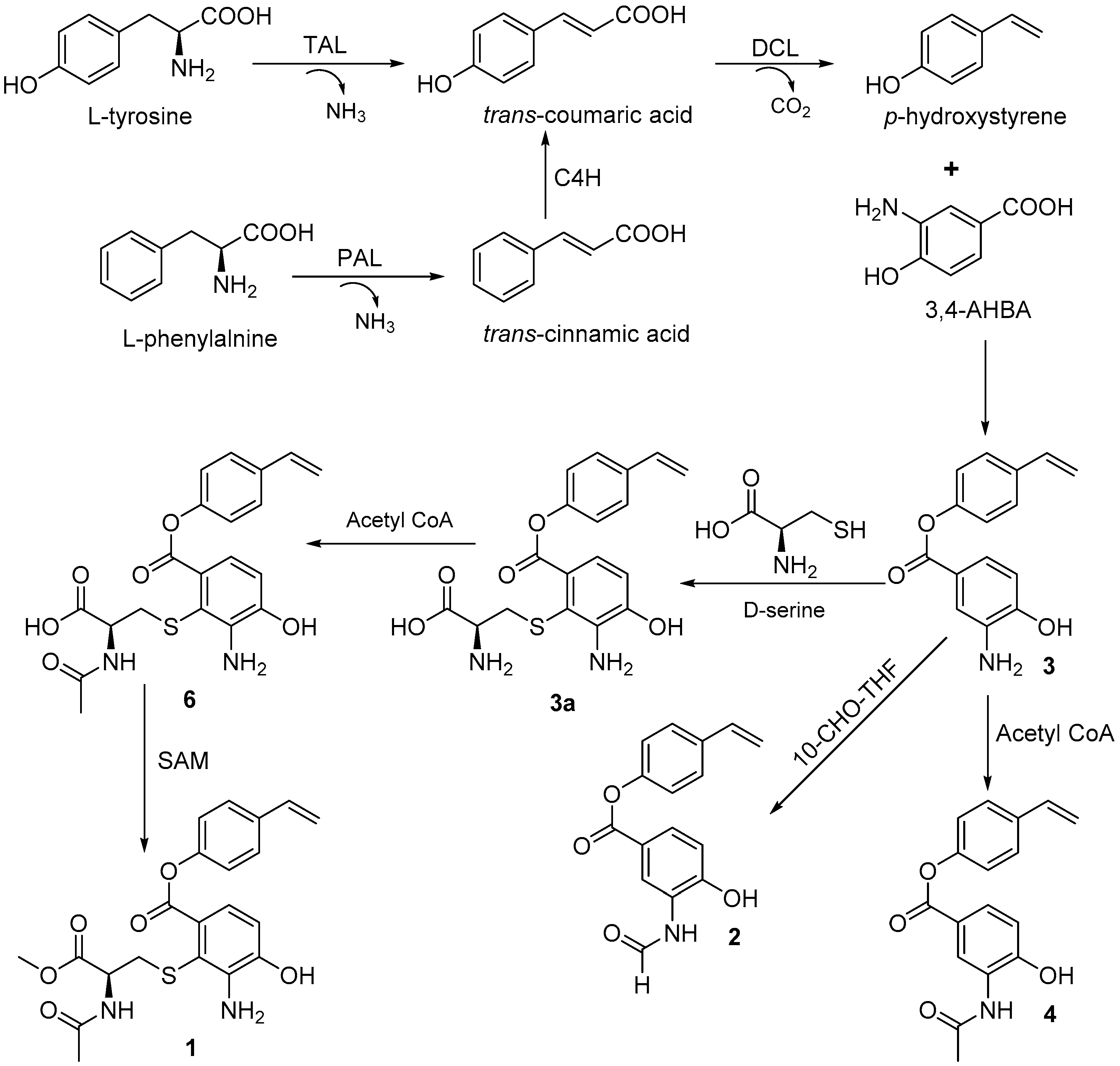 Marinedrugs 16 00330 g003