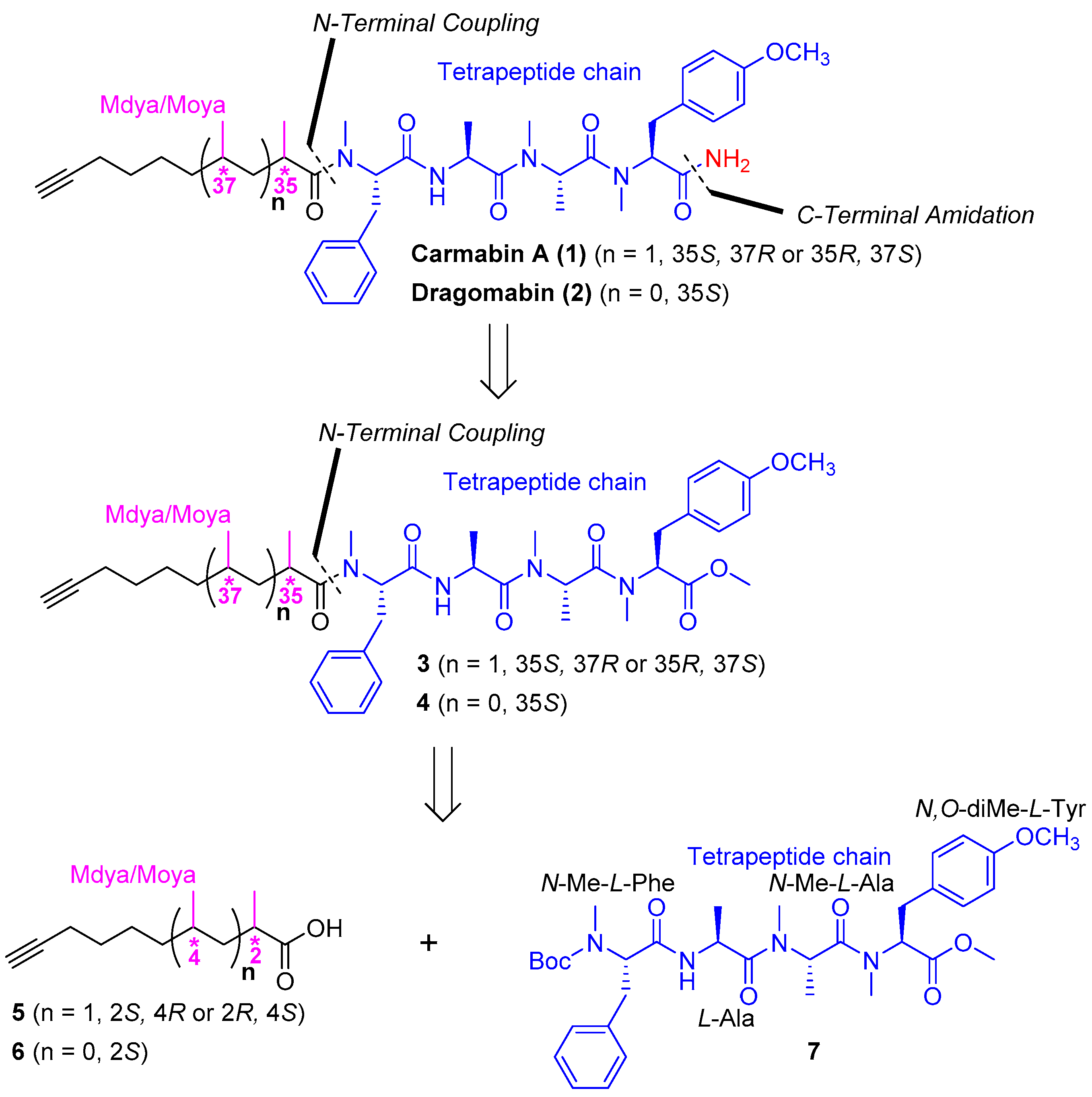 Marinedrugs 16 00338 sch001