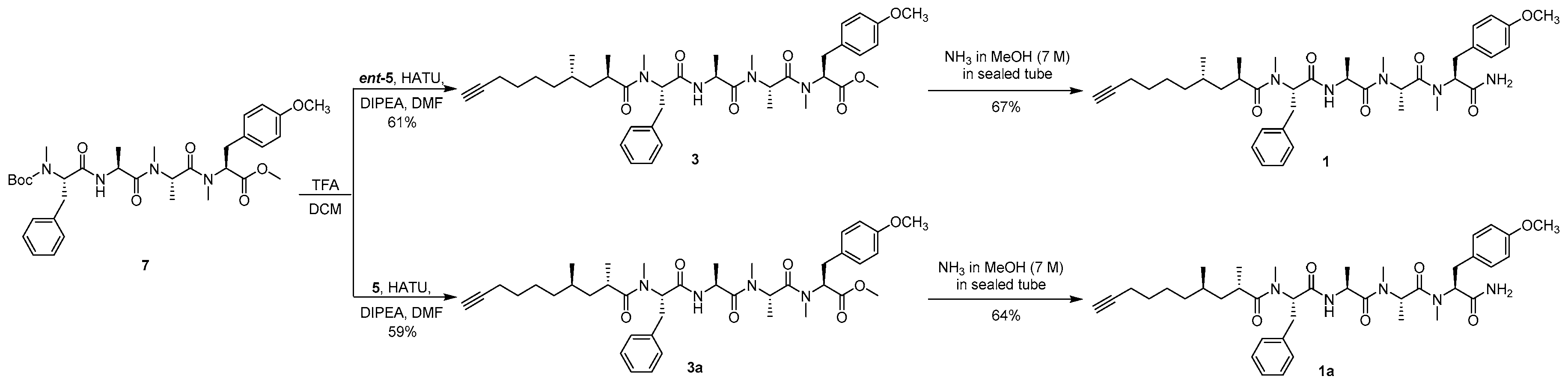 Marinedrugs 16 00338 sch004