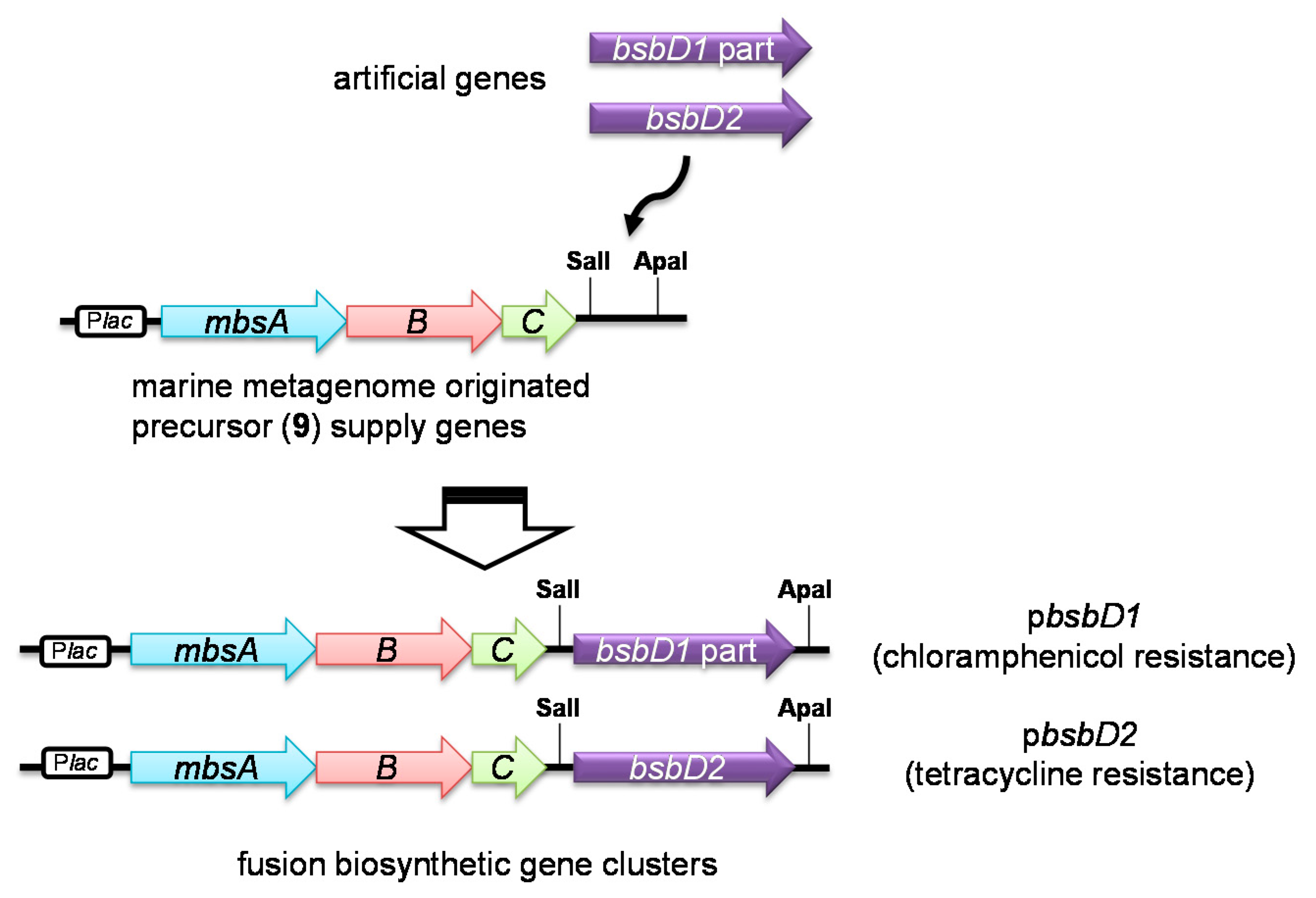 Marinedrugs 16 00342 g004