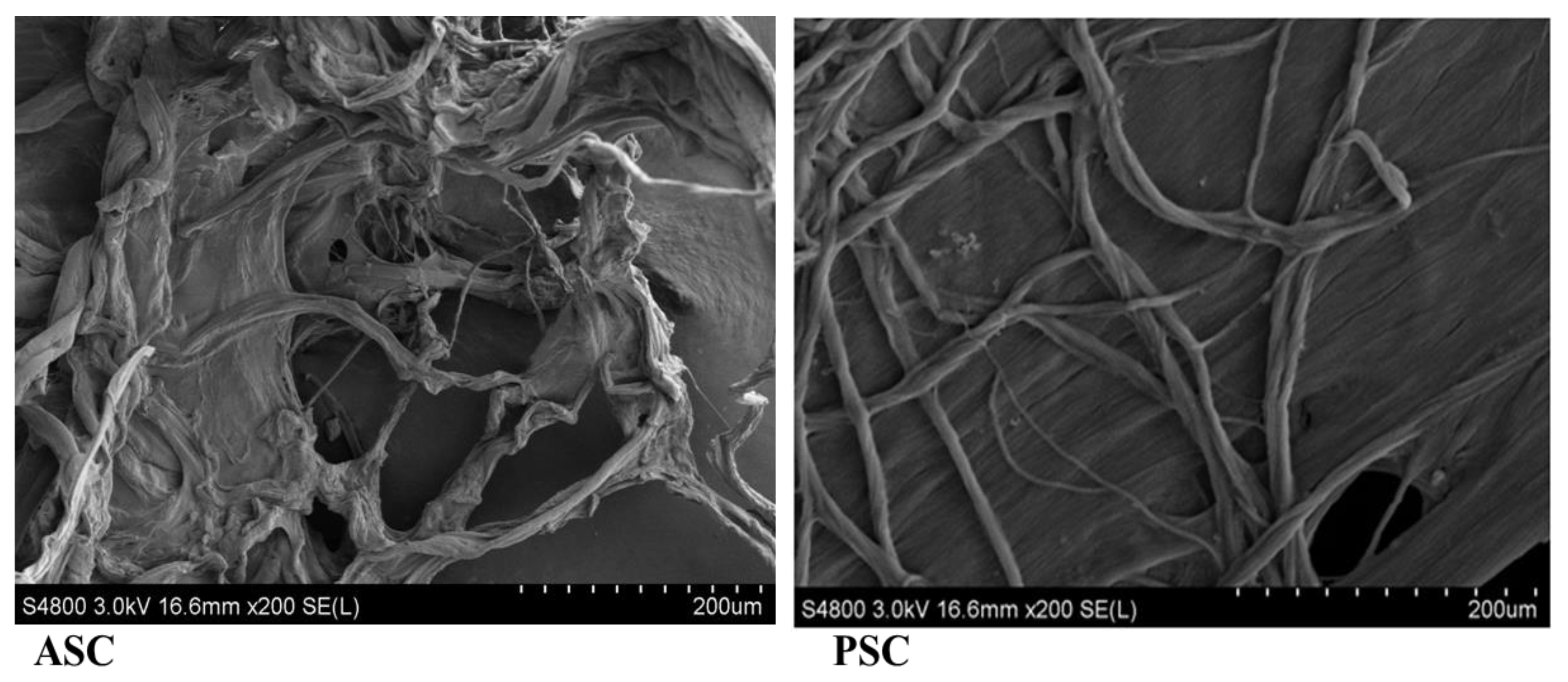 Marinedrugs 16 00350 g006 Marinedrugs 16 00350 g006