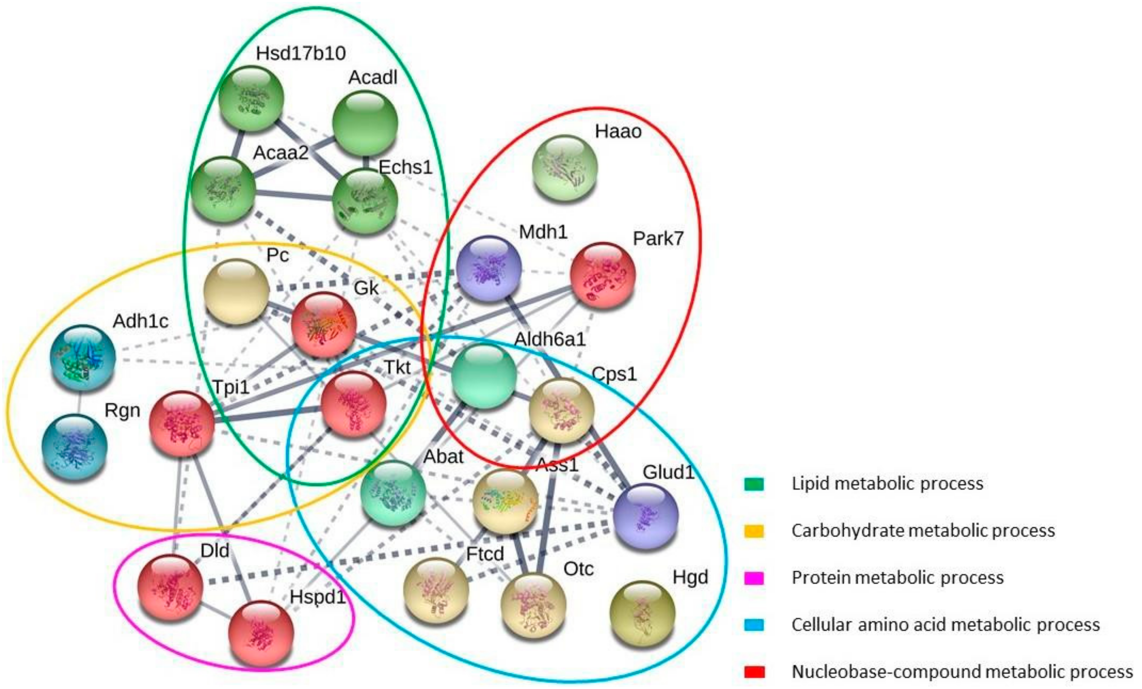 Marinedrugs 16 00353 g005
