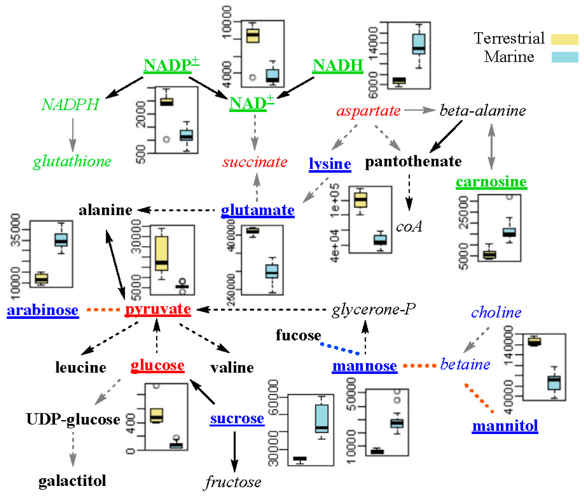 Marinedrugs 16 00356 g007 Marinedrugs 16 00356 g007