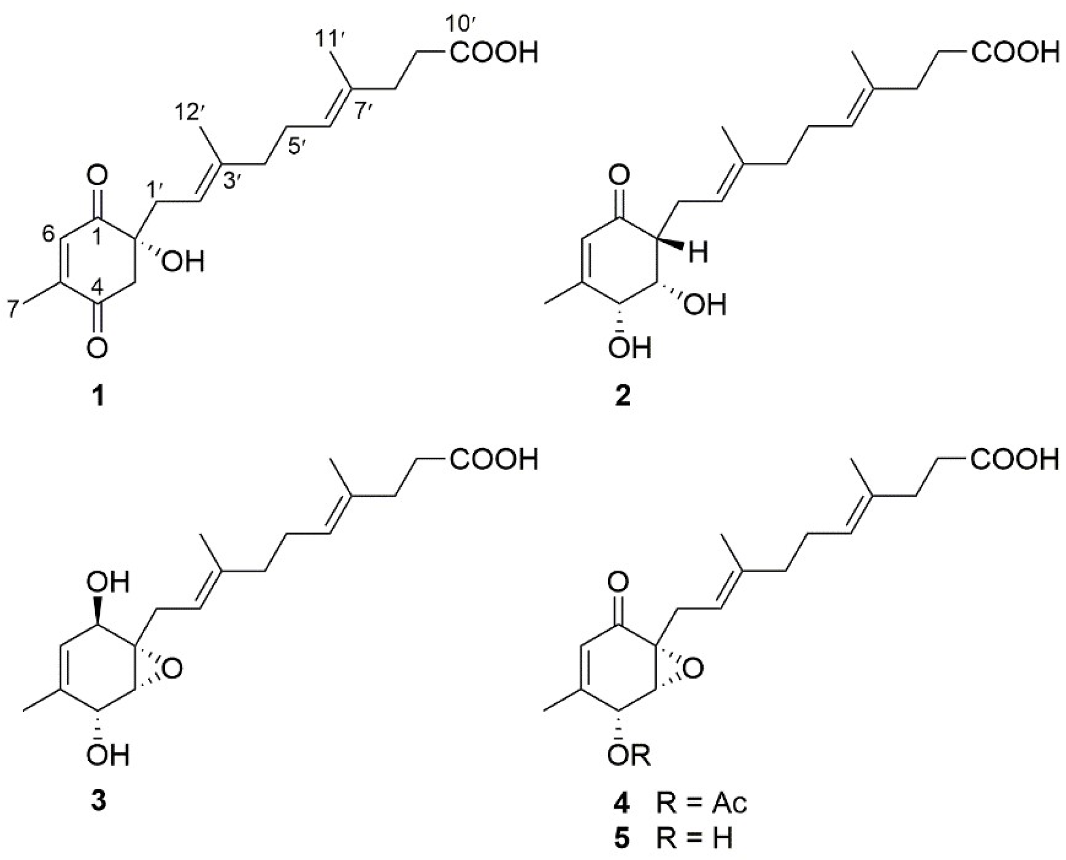 Marinedrugs 16 00358 g001