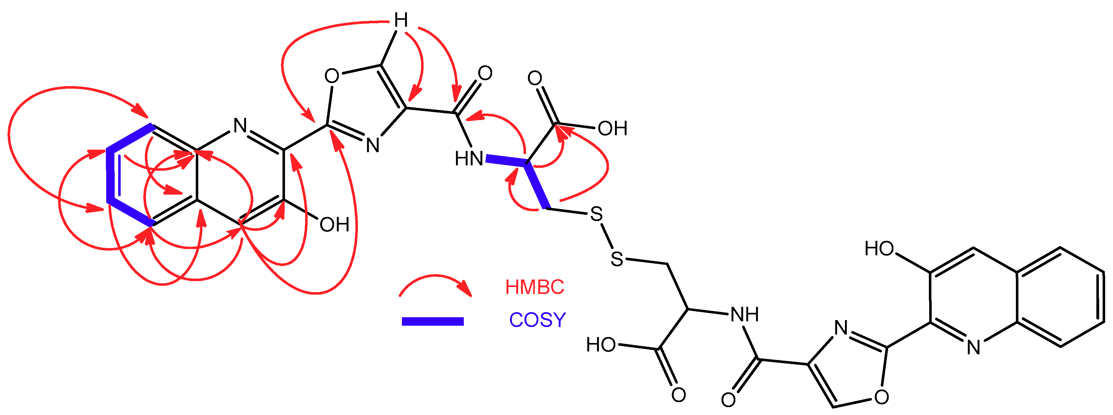 Marinedrugs 16 00371 g005 Marinedrugs 16 00371 g005