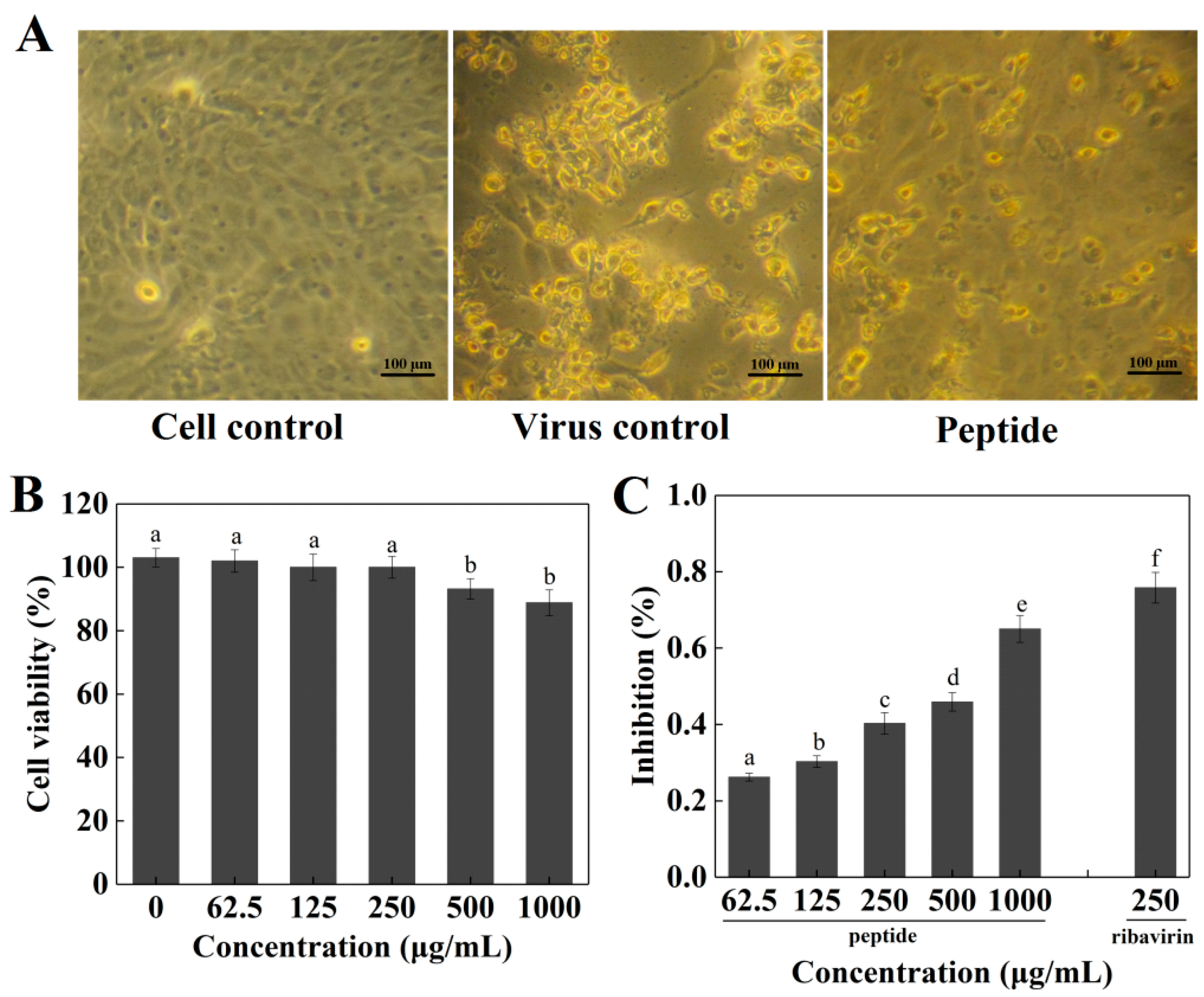 Marinedrugs 16 00377 g005 Marinedrugs 16 00377 g005