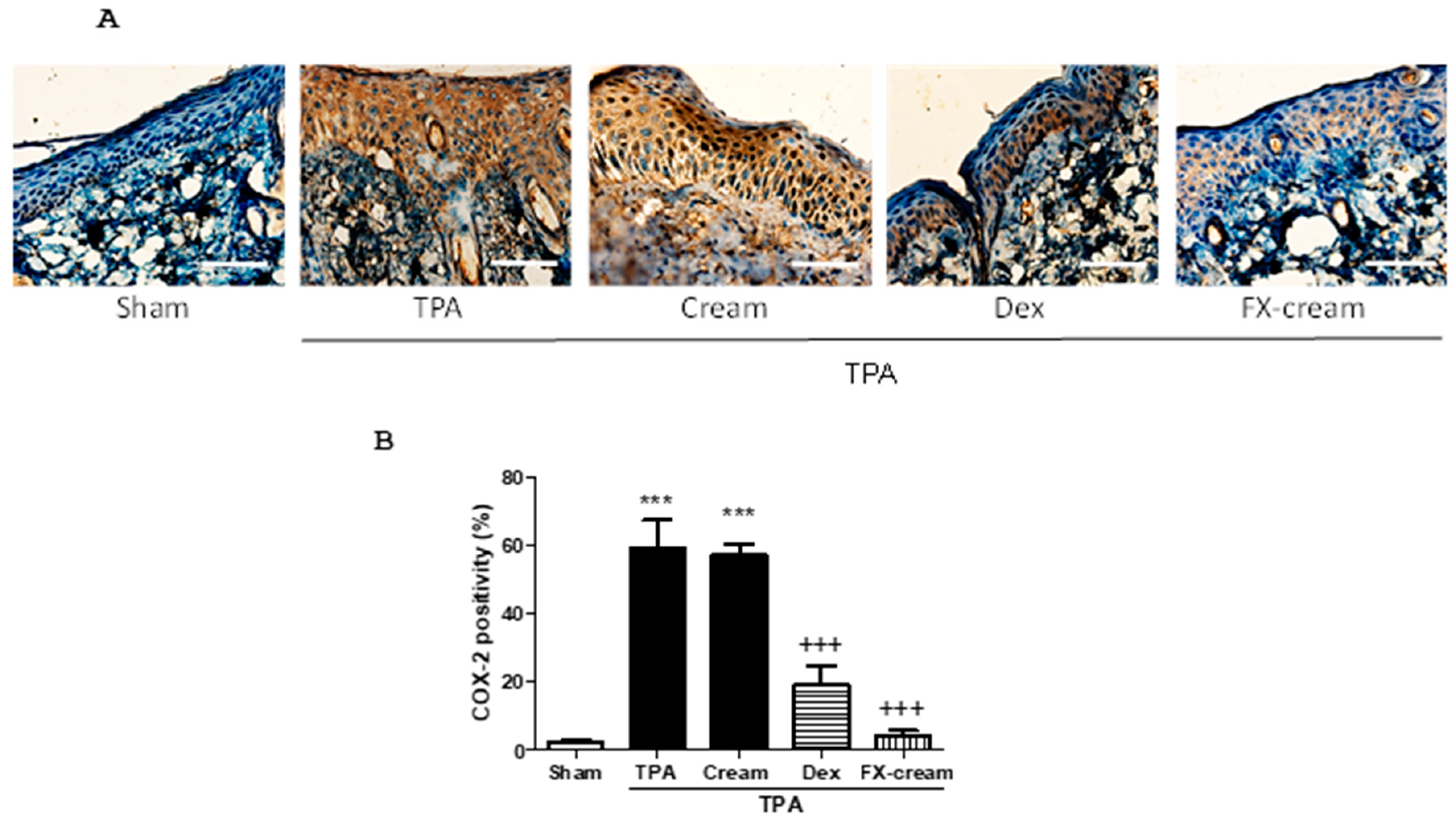 Marinedrugs 16 00378 g004