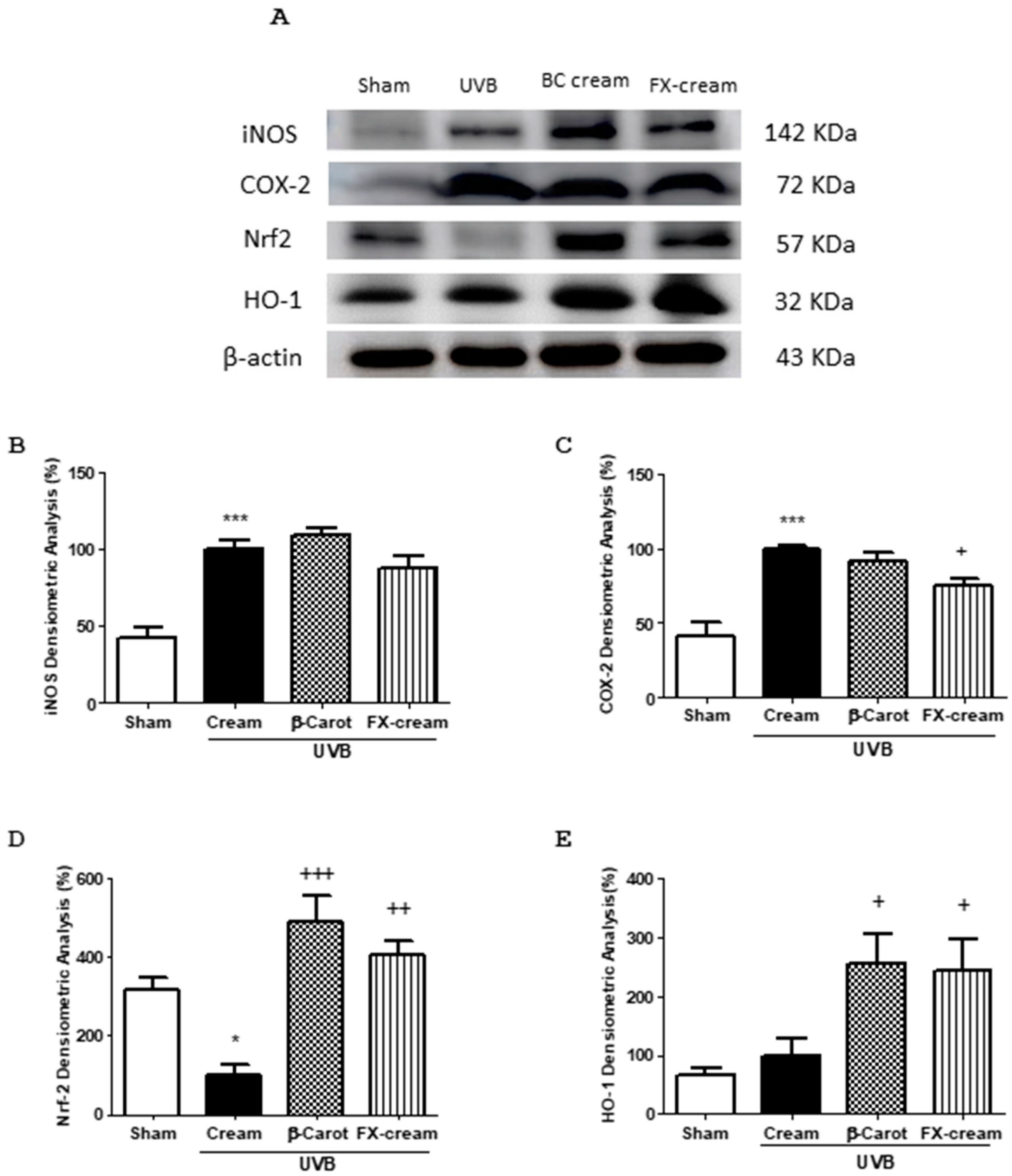 Marinedrugs 16 00378 g007