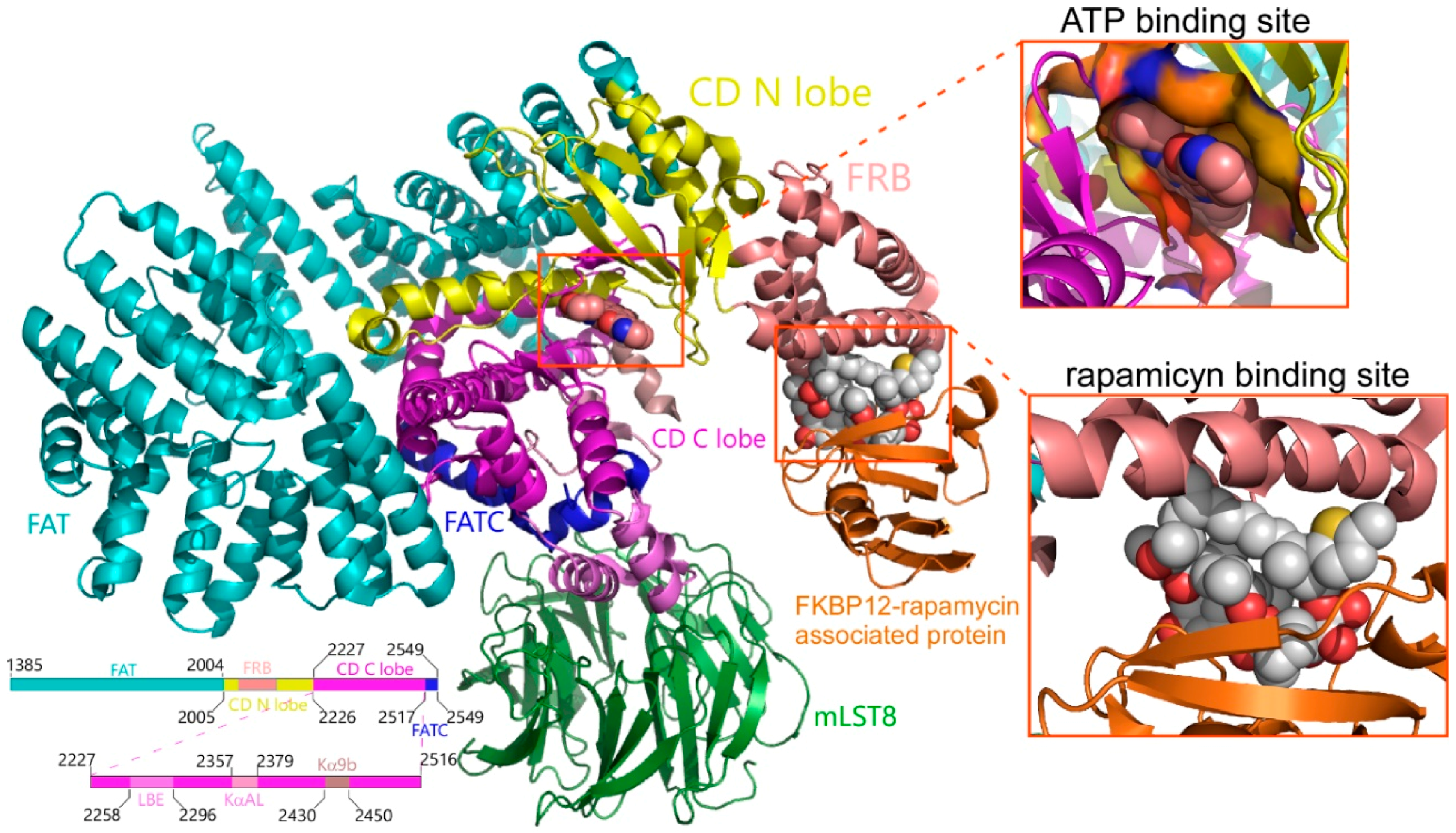 Marinedrugs 16 00385 g001