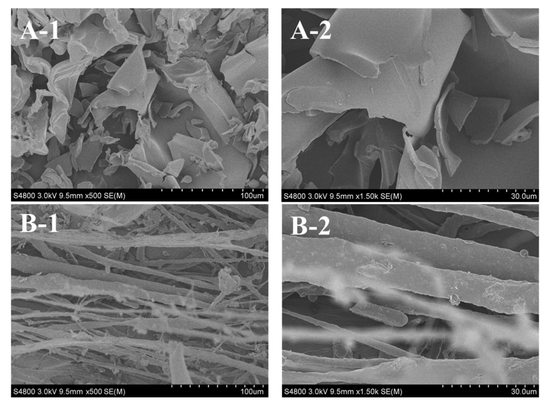 Marinedrugs 16 00394 g008