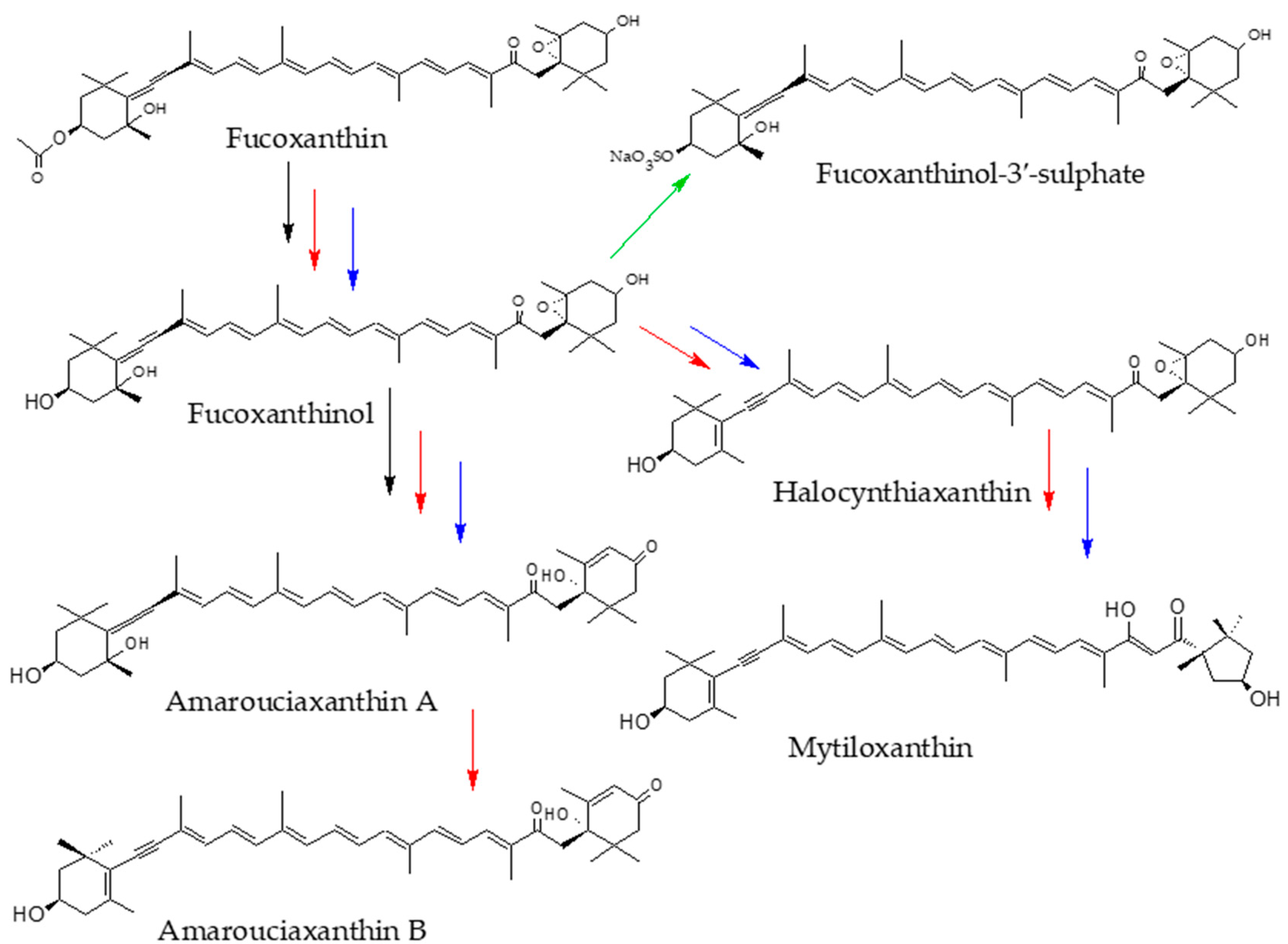 Marinedrugs 16 00397 g002