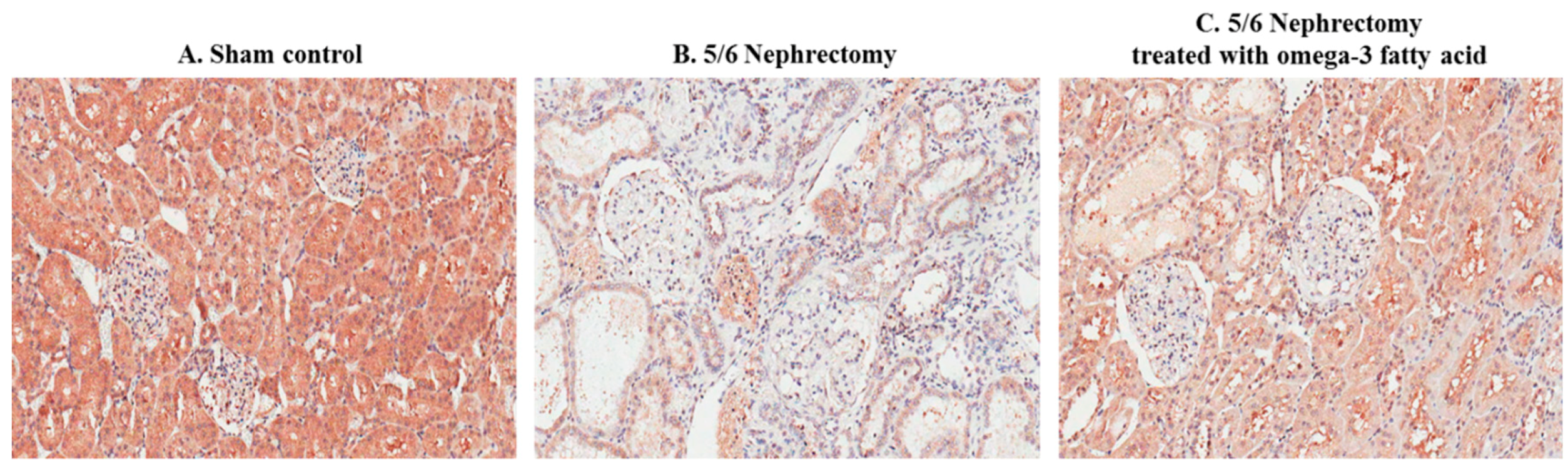 Marinedrugs 16 00398 g002 Marinedrugs 16 00398 g002