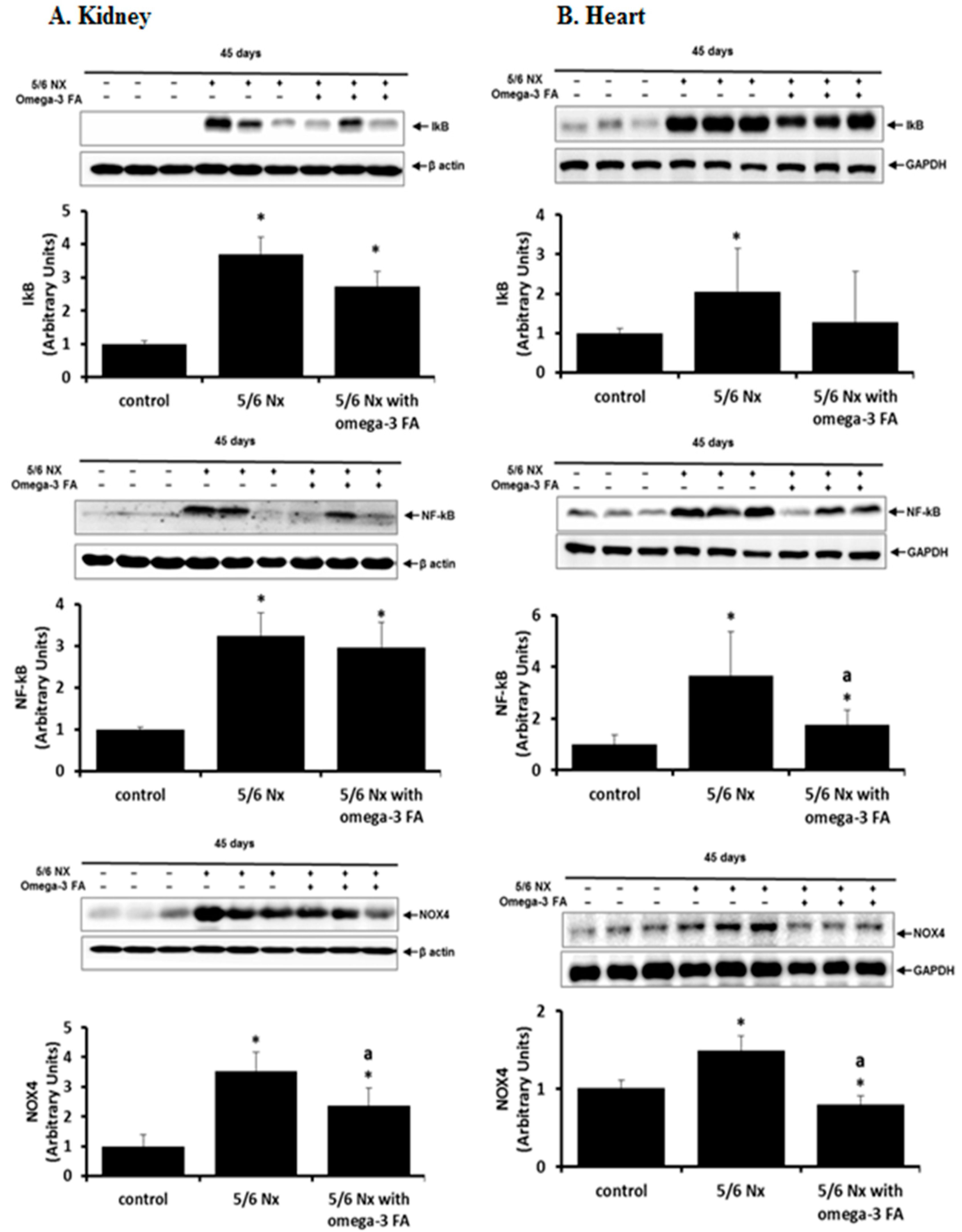 Marinedrugs 16 00398 g003 Marinedrugs 16 00398 g003