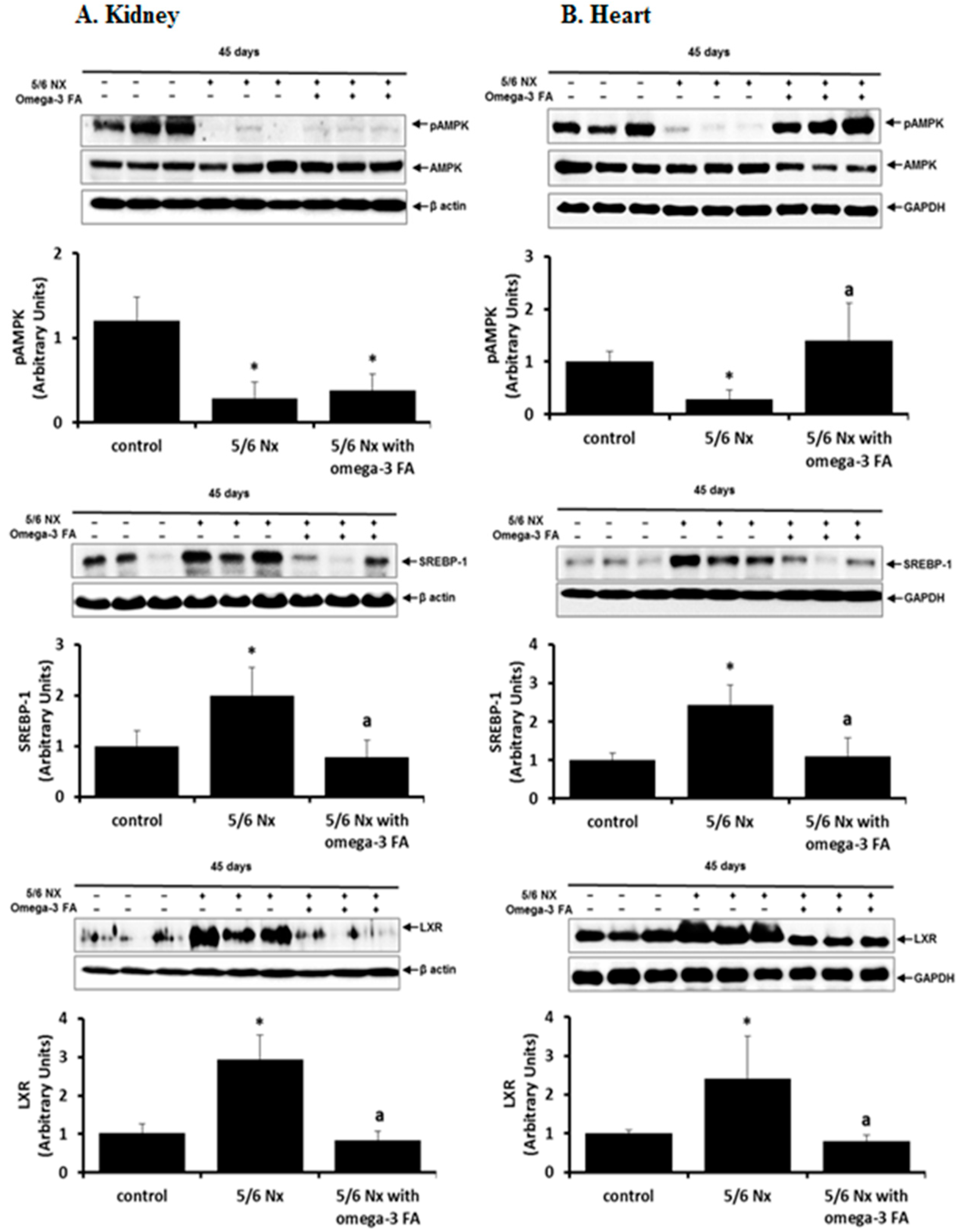 Marinedrugs 16 00398 g004 Marinedrugs 16 00398 g004