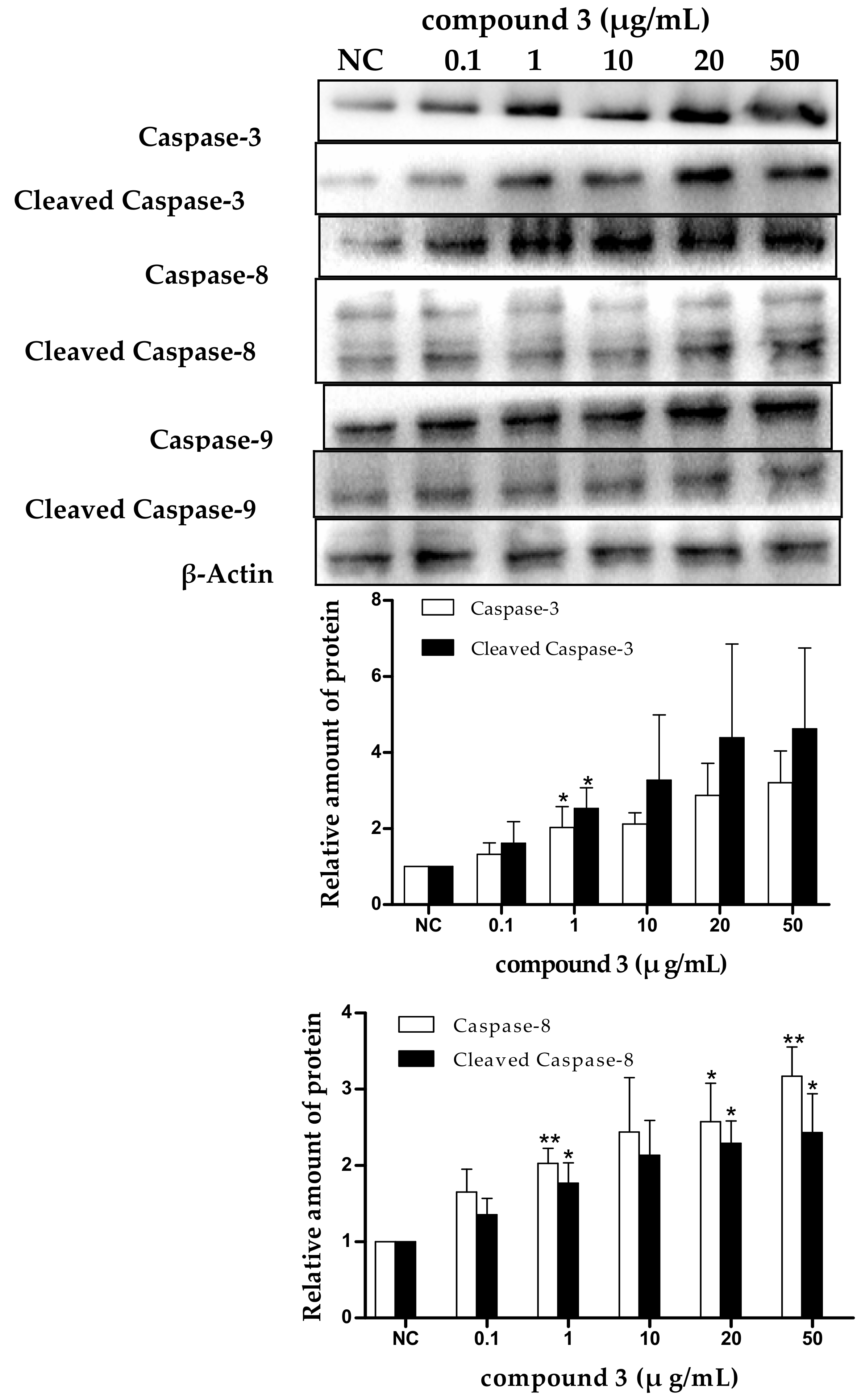 Marinedrugs 16 00402 g008a Marinedrugs 16 00402 g008a