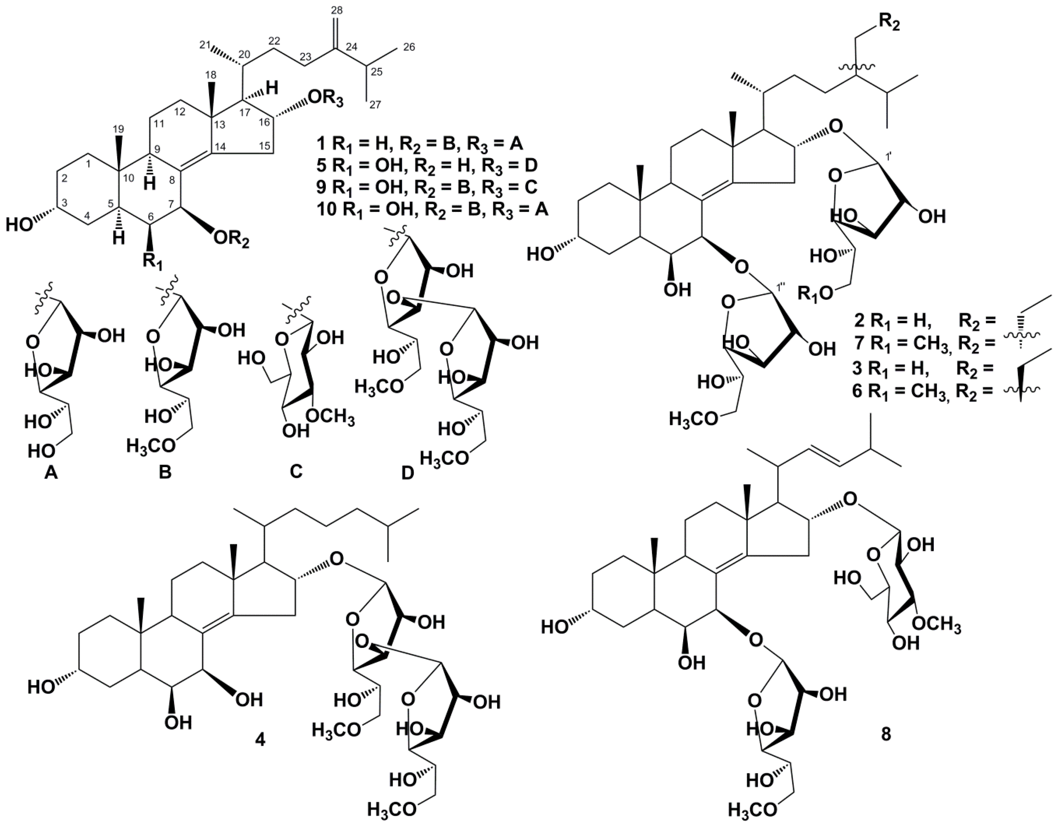 Marinedrugs 16 00420 g001 Marinedrugs 16 00420 g001