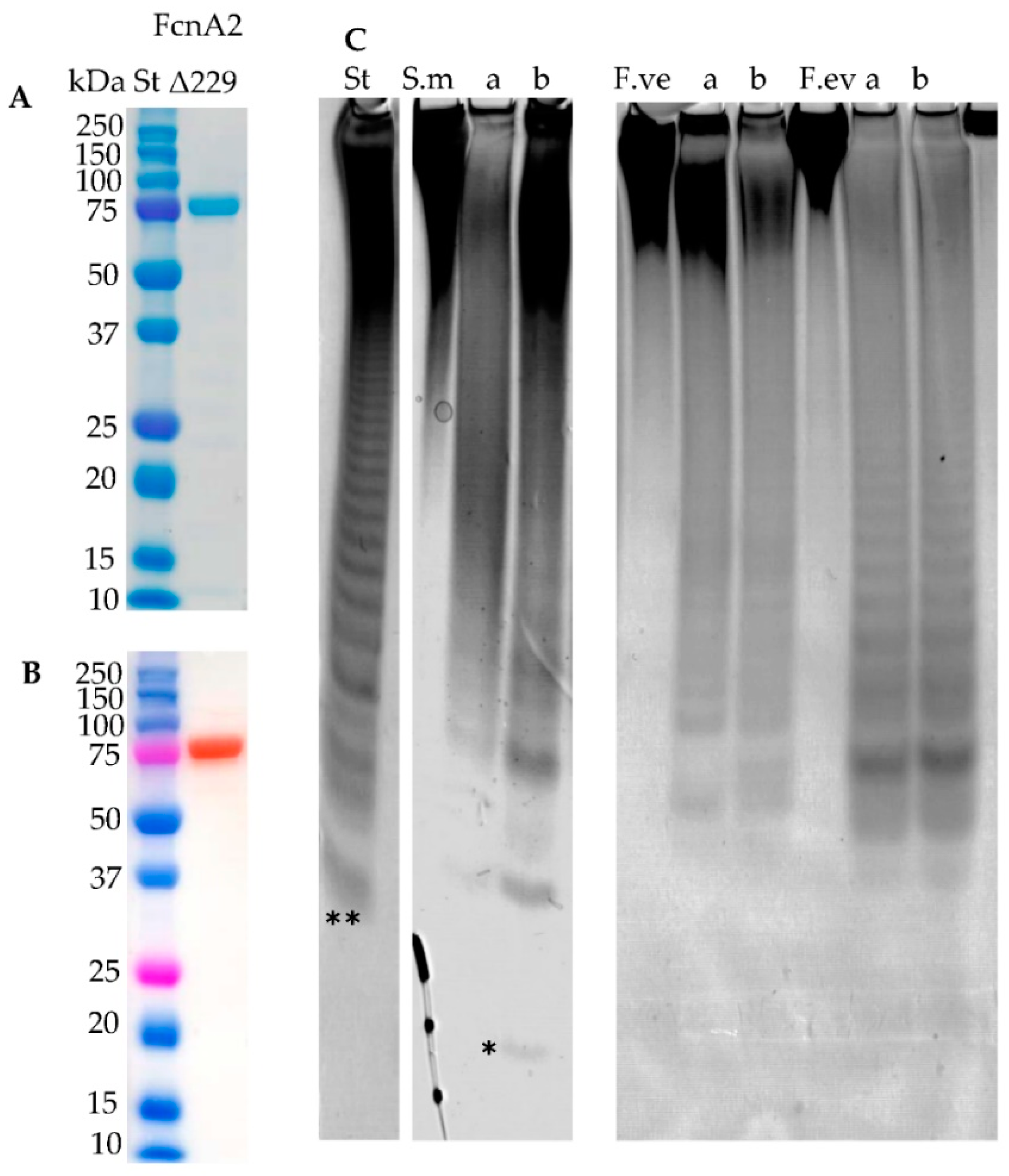 Marinedrugs 16 00422 g005