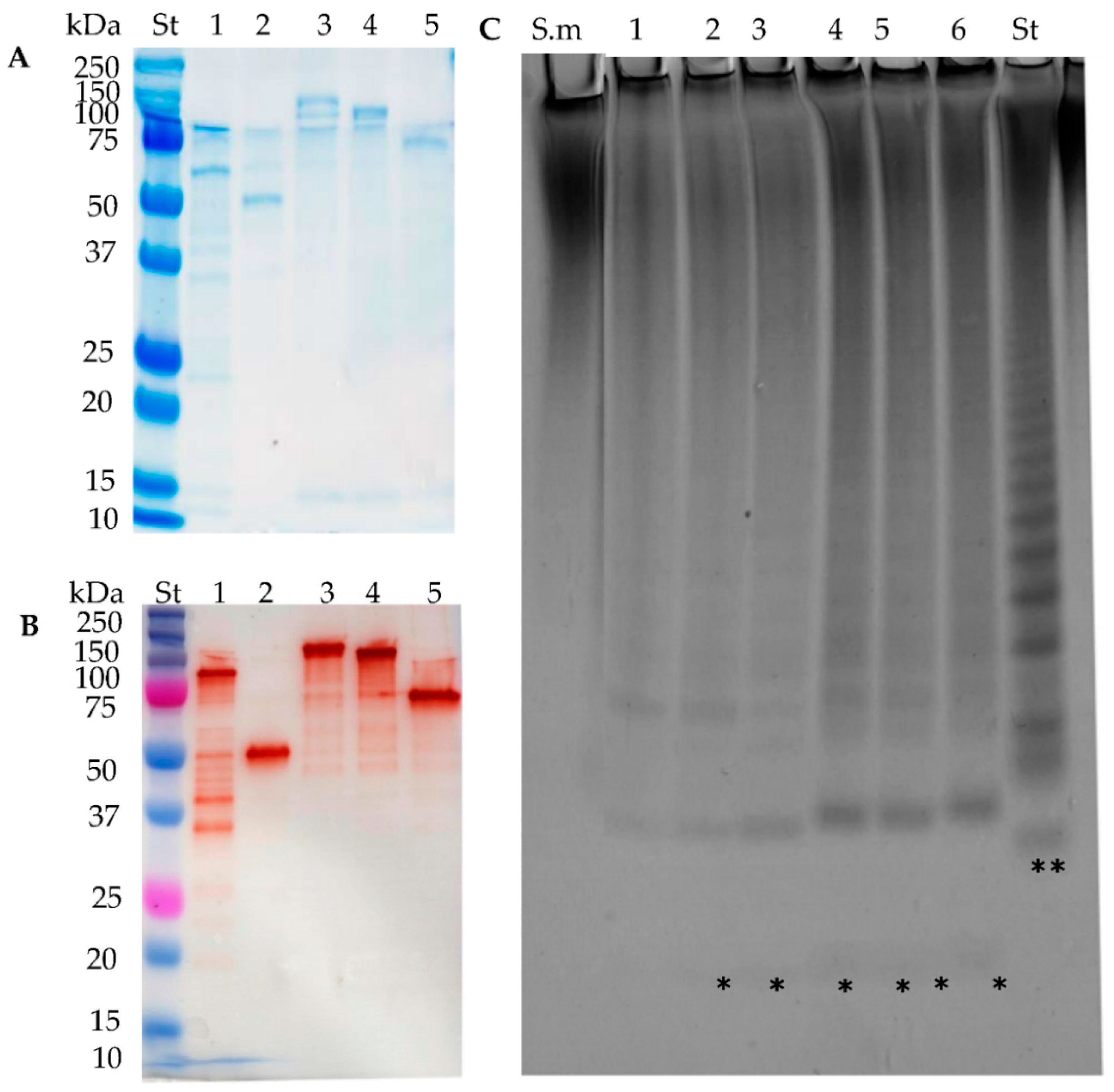 Marinedrugs 16 00422 g006