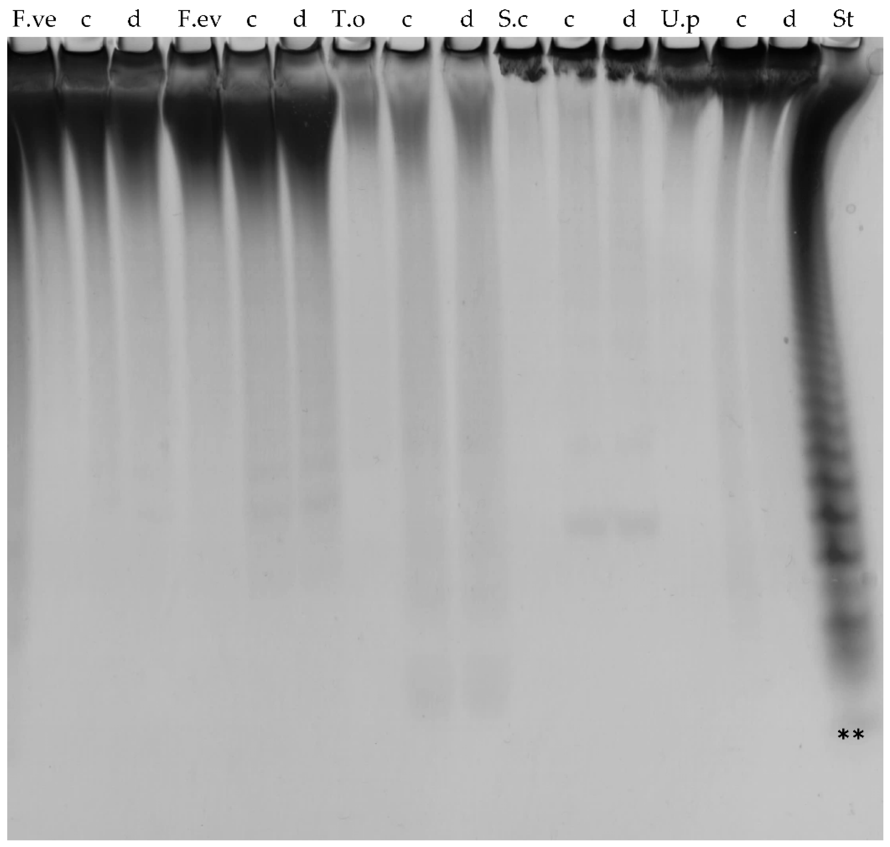 Marinedrugs 16 00422 g007