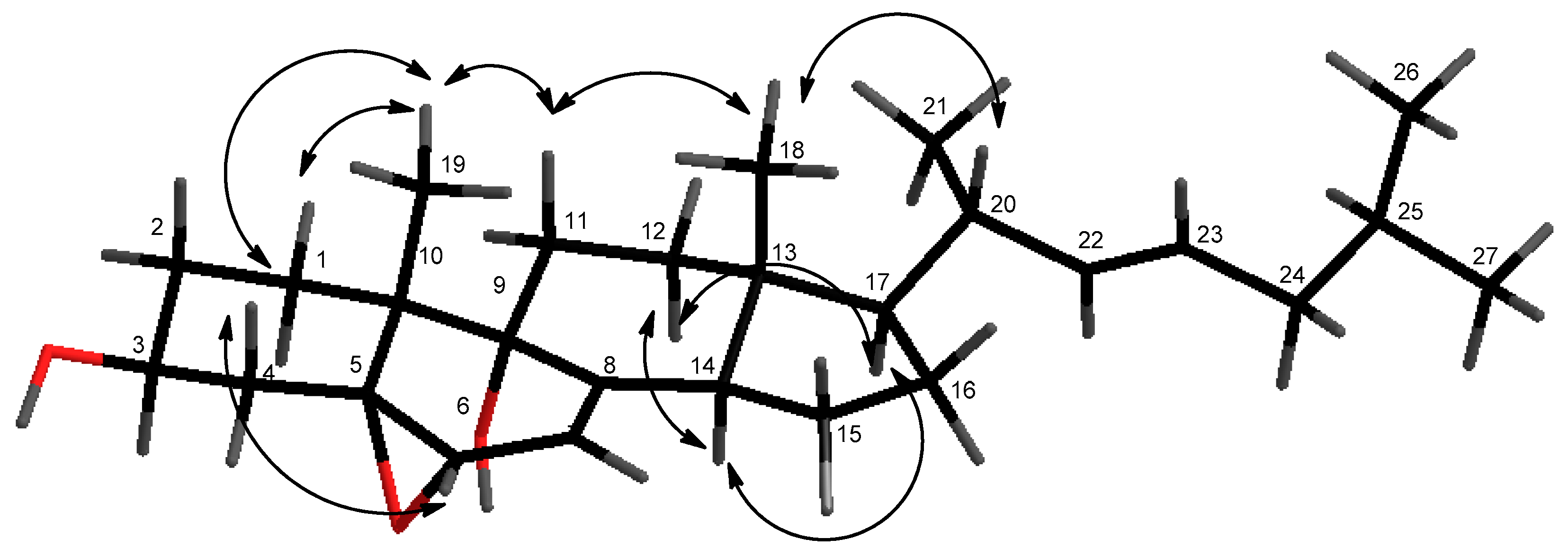 Marinedrugs 16 00424 g003