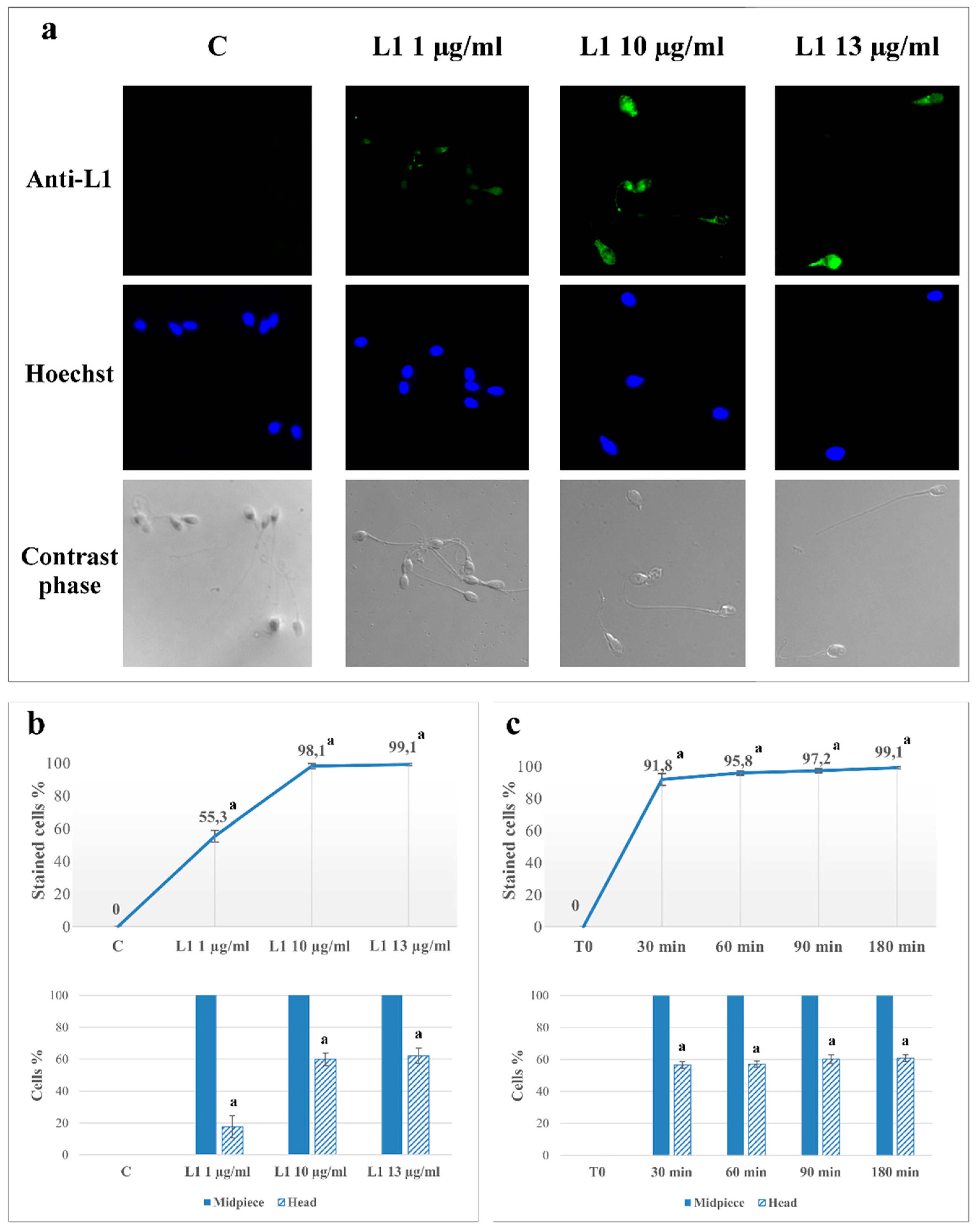 Marinedrugs 16 00427 g001 Marinedrugs 16 00427 g001