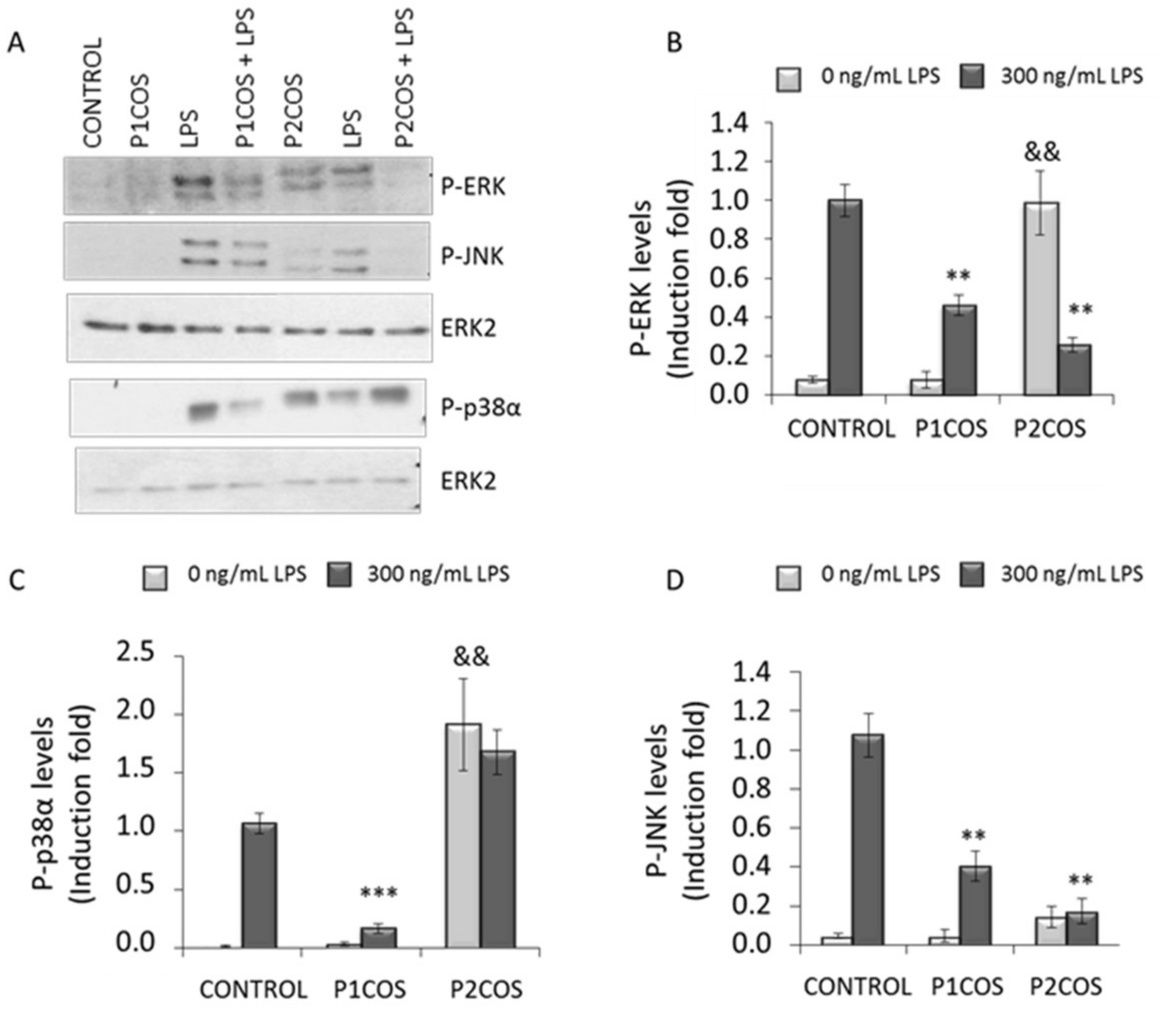Marinedrugs 16 00430 g006