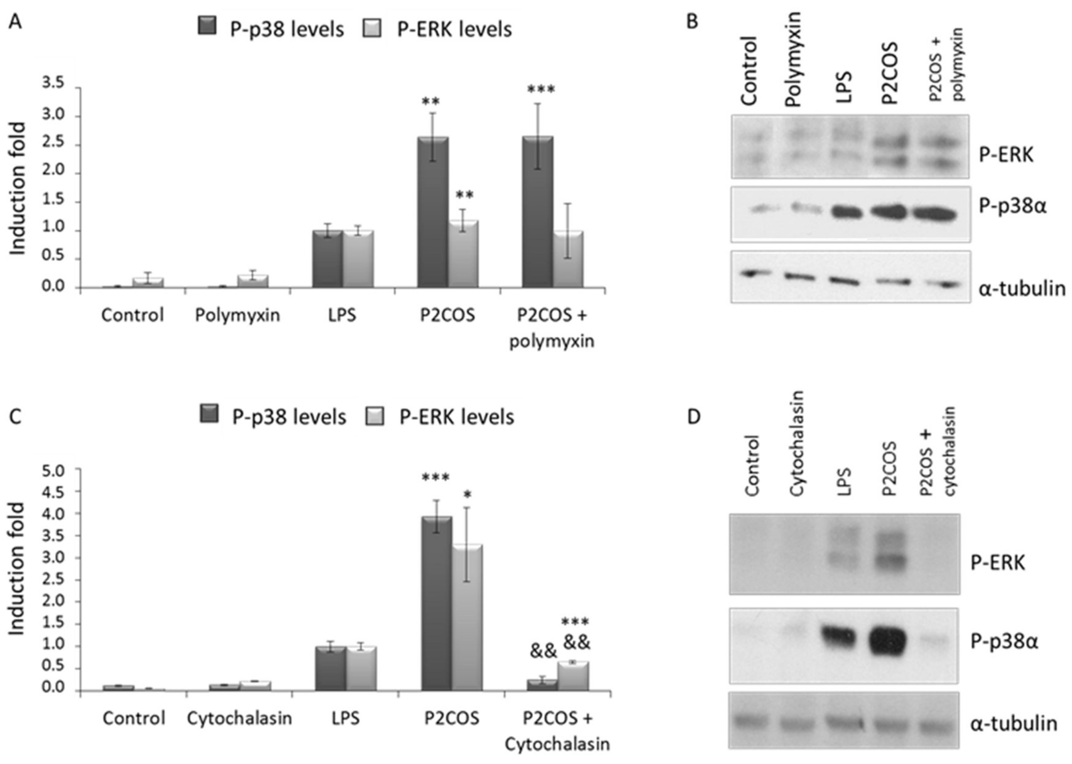 Marinedrugs 16 00430 g007
