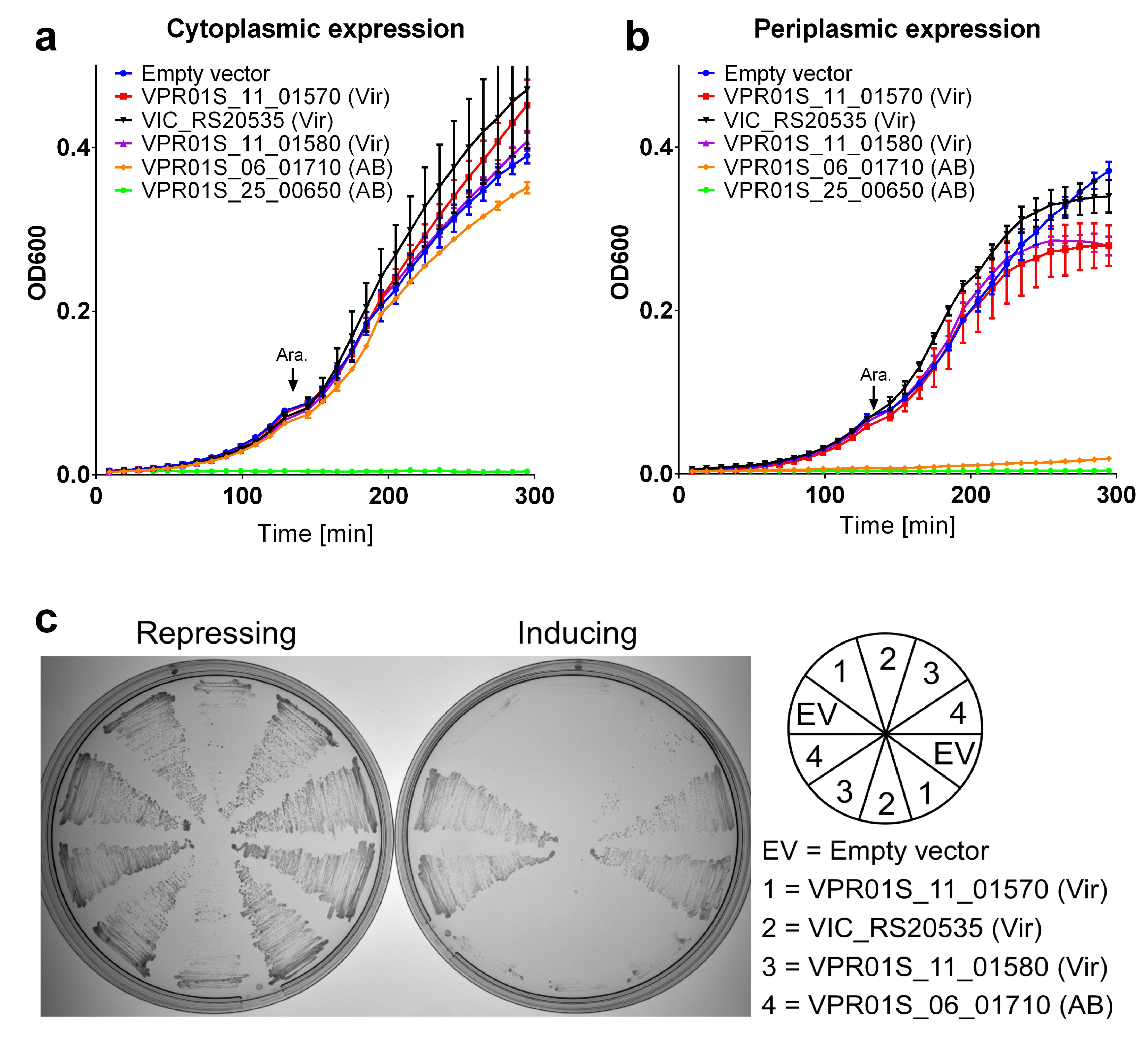 Marinedrugs 16 00433 g003