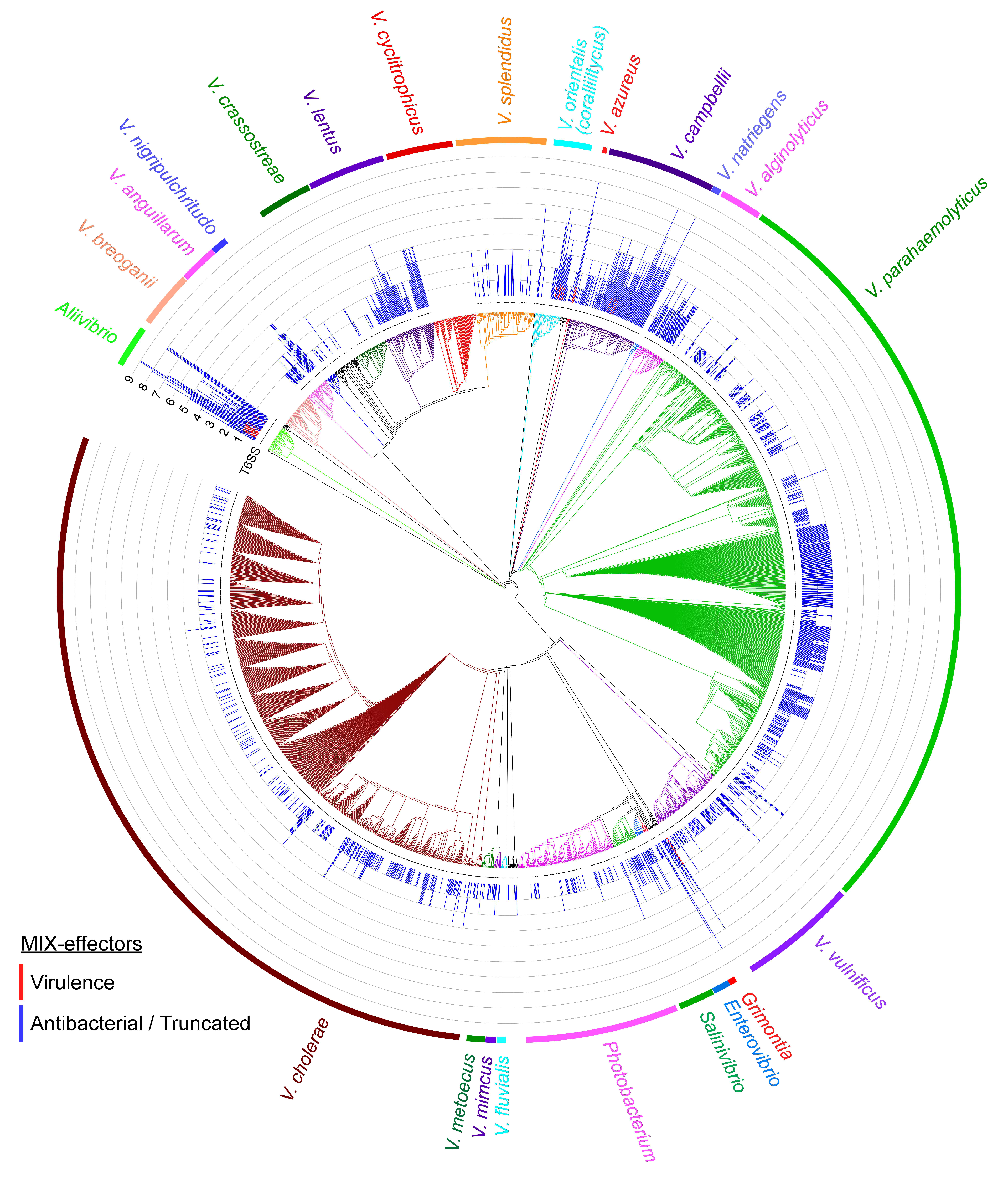 Marinedrugs 16 00433 g005