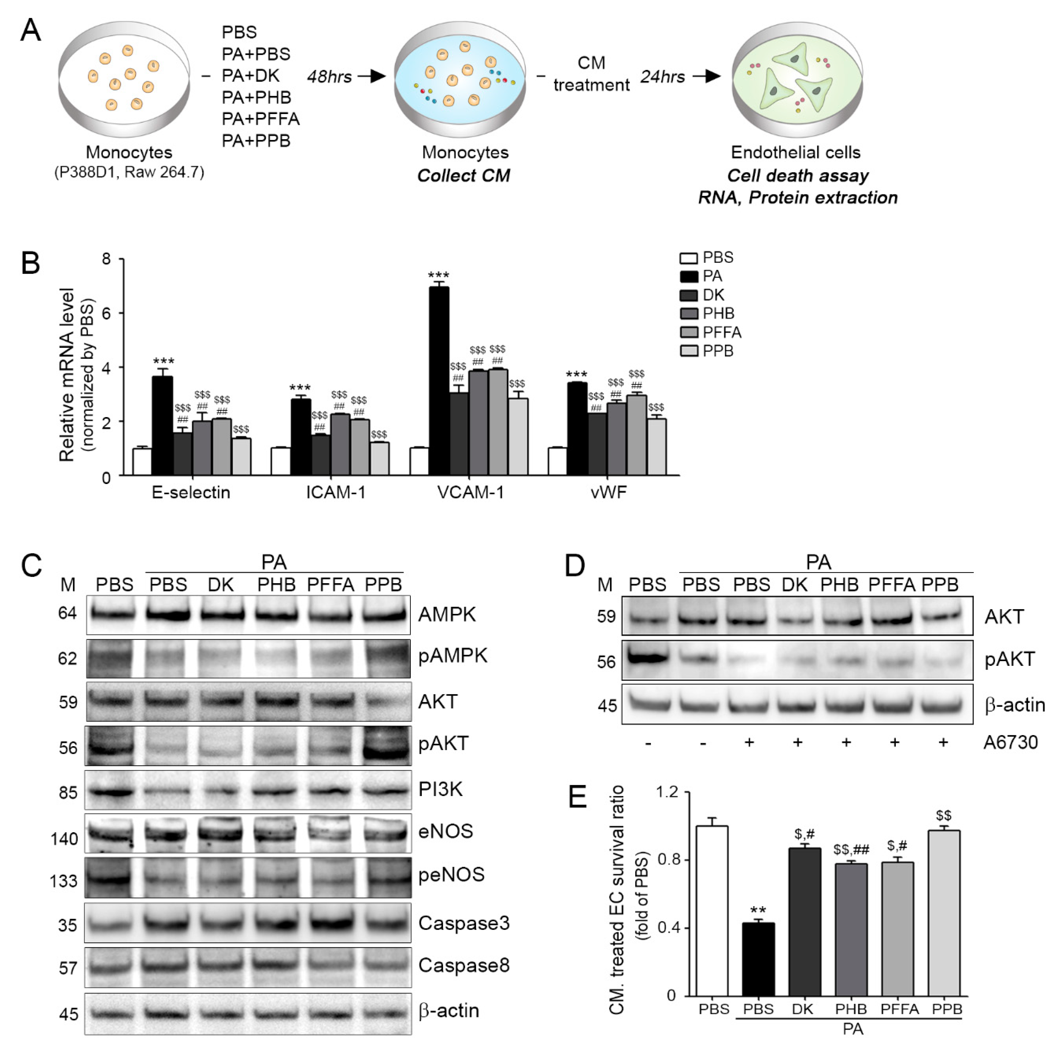 Marinedrugs 16 00441 g003