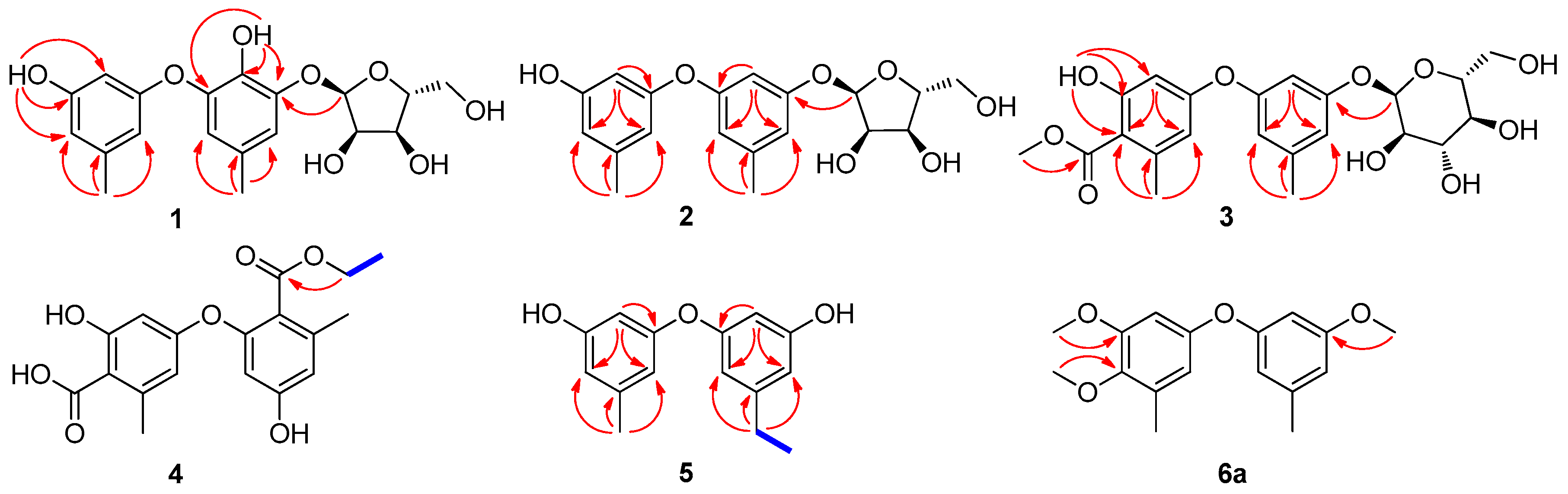 Marinedrugs 16 00451 g002