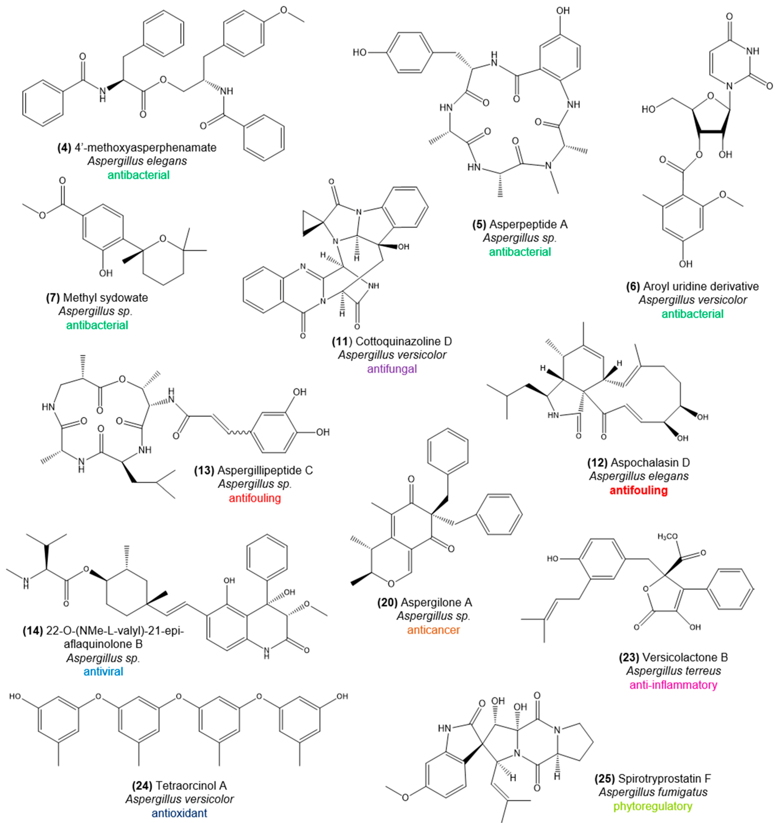 Marinedrugs 16 00485 g003