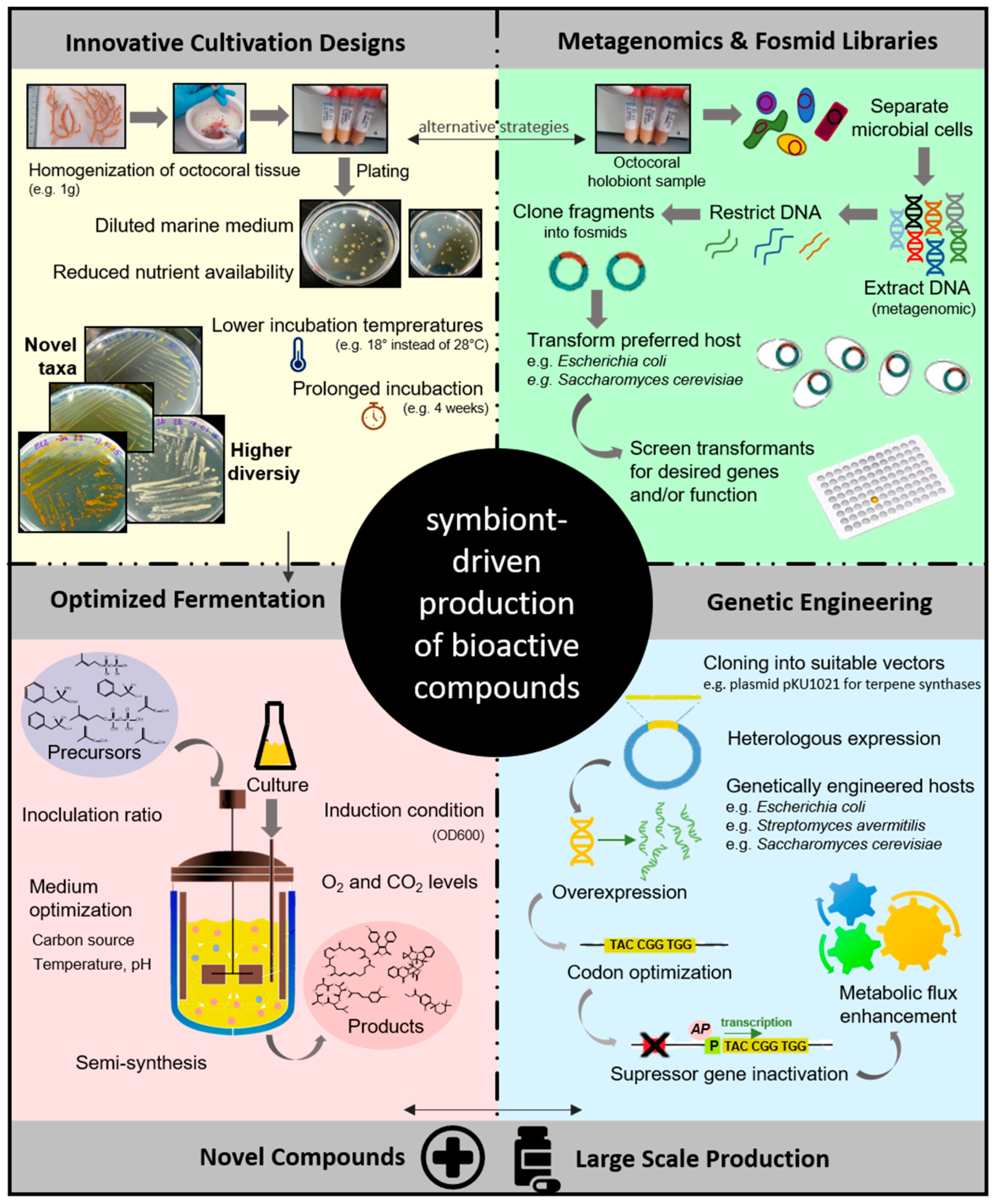 Marinedrugs 16 00485 g006