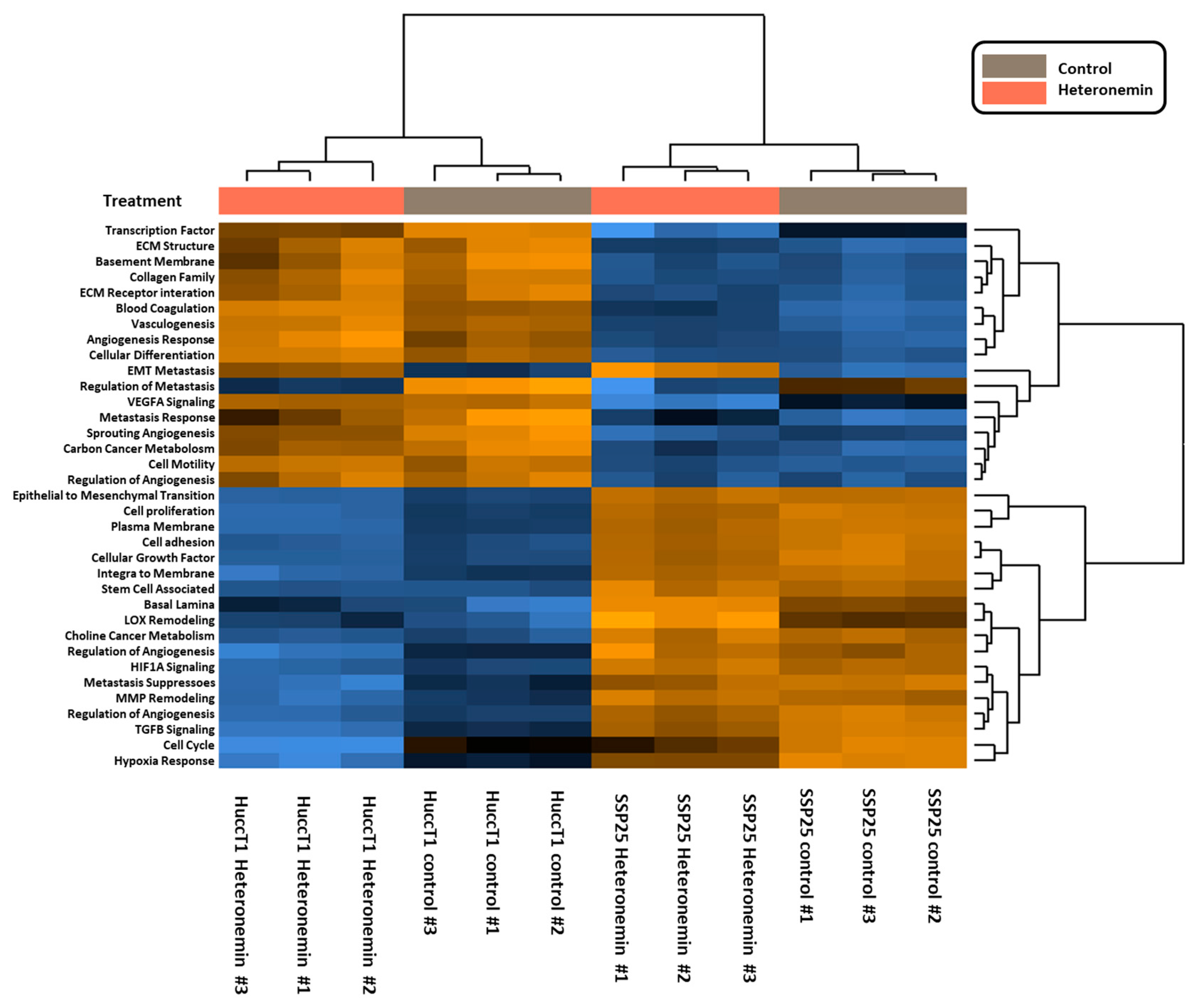 Marinedrugs 16 00489 g004