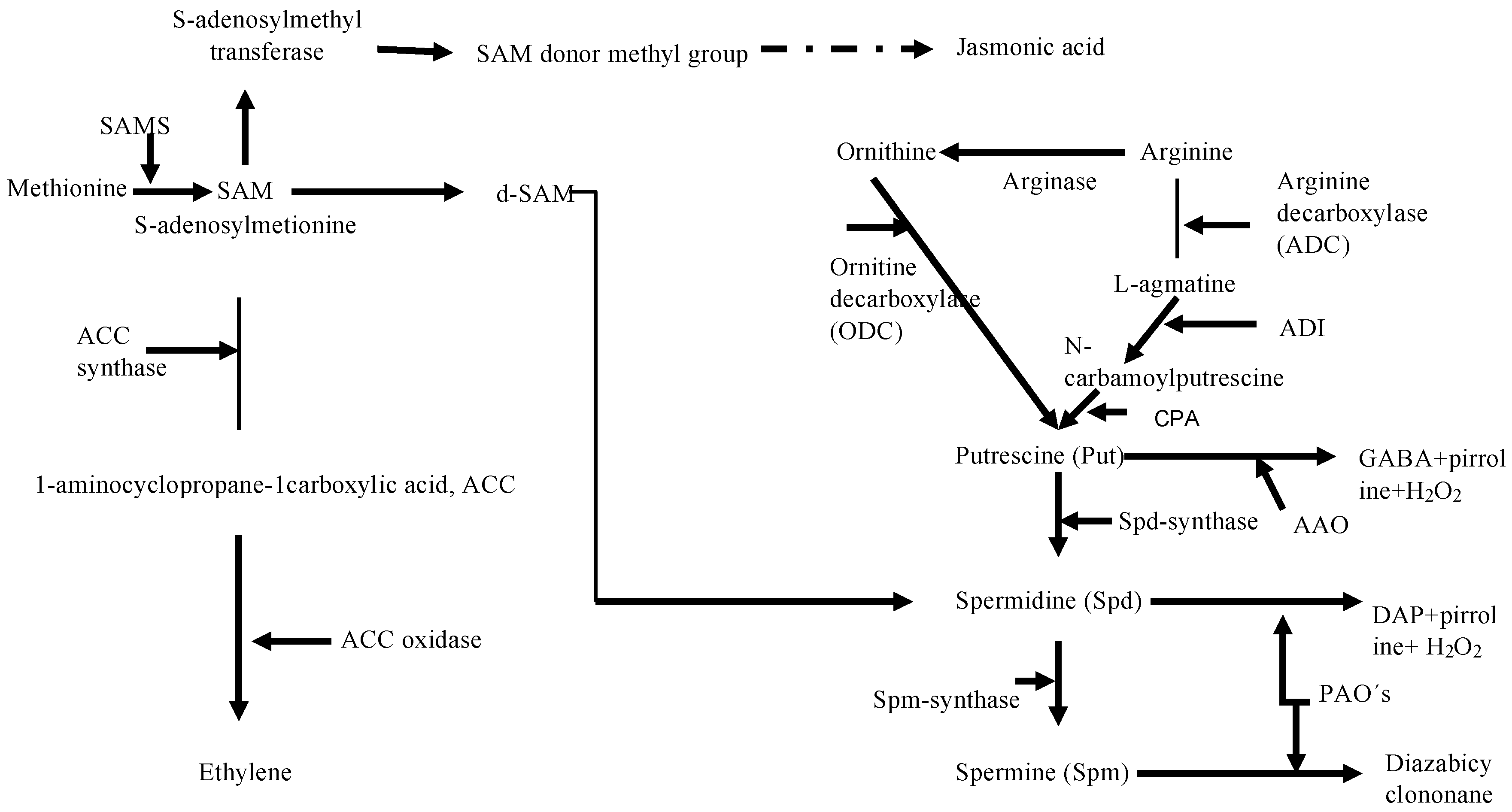 Marinedrugs 16 00490 g003