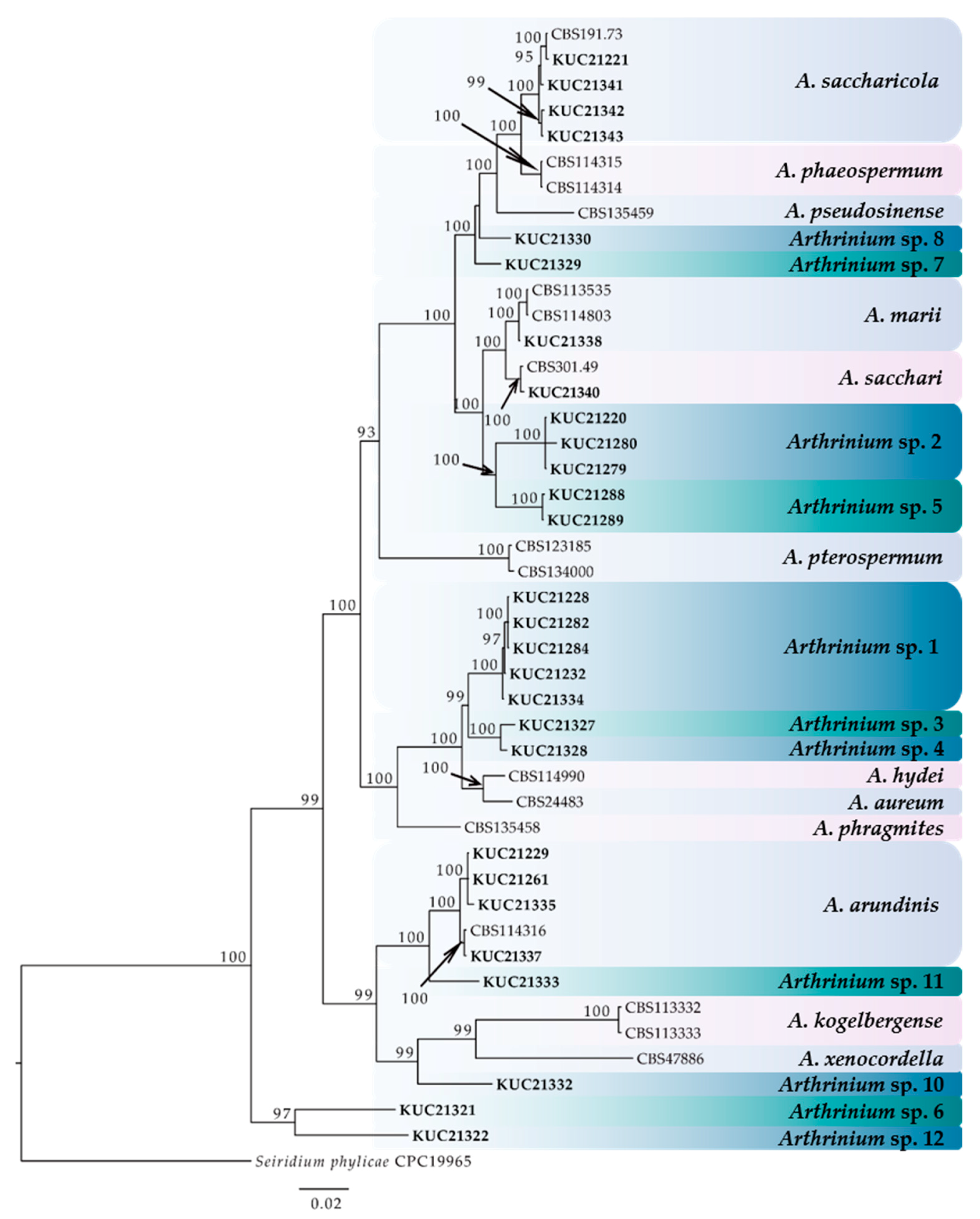 Marinedrugs 16 00508 g001 Marinedrugs 16 00508 g001