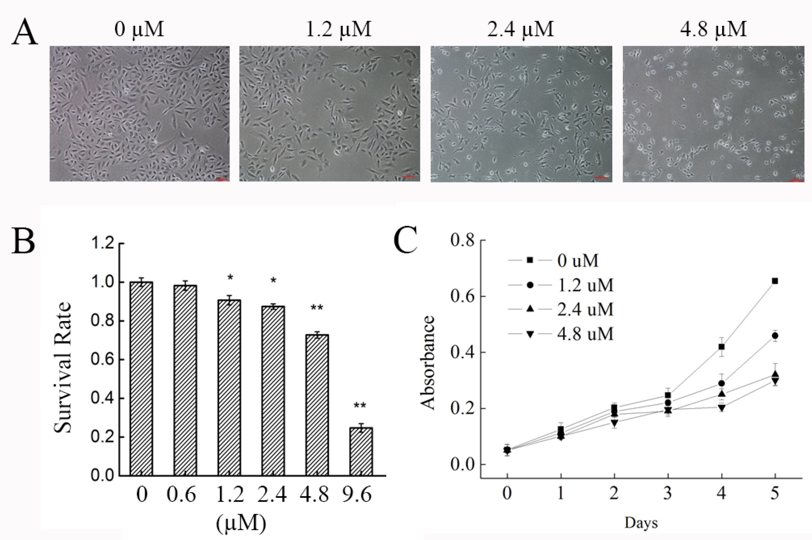 Marinedrugs 16 00511 g001
