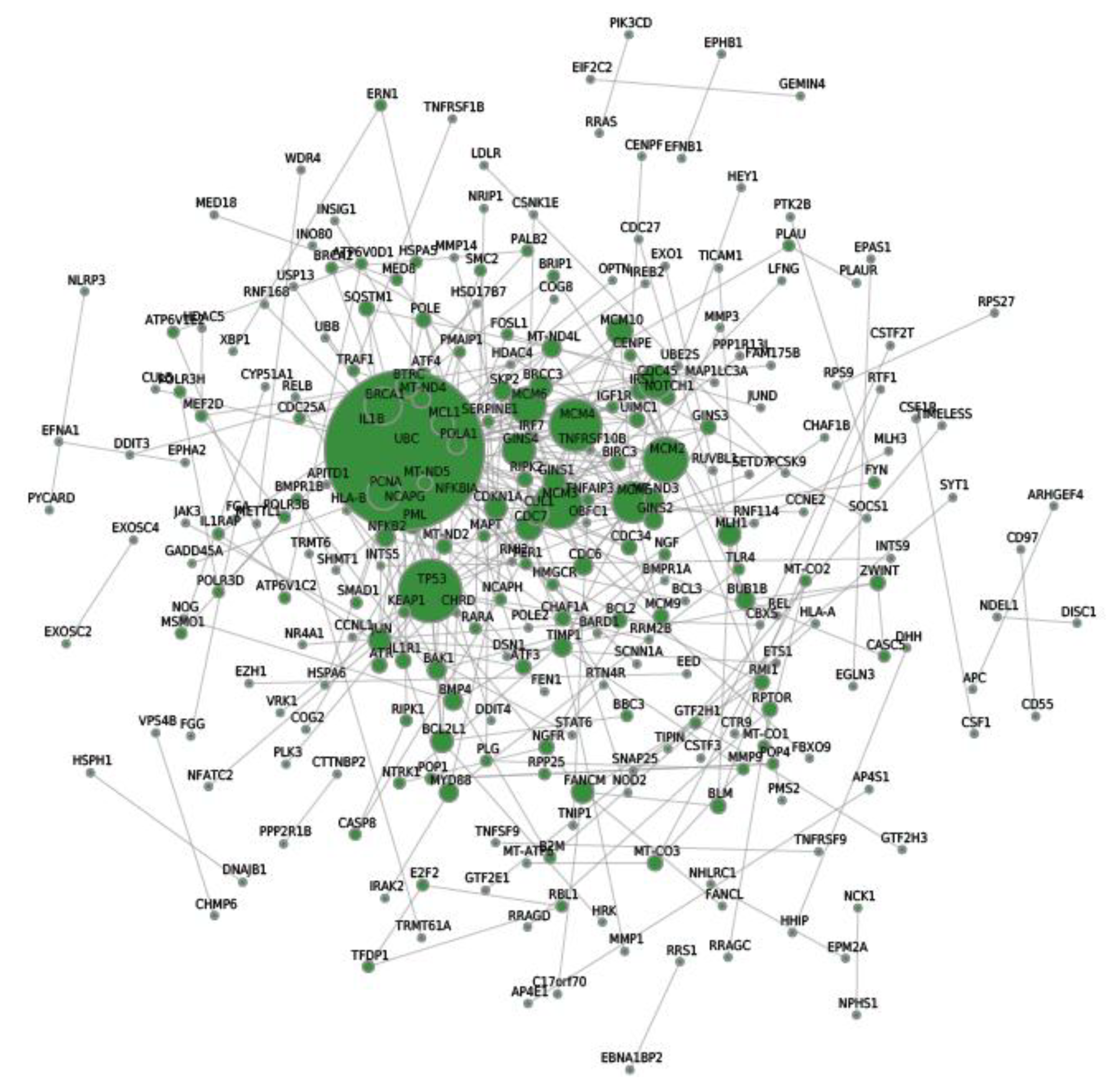 Marinedrugs 16 00511 g005