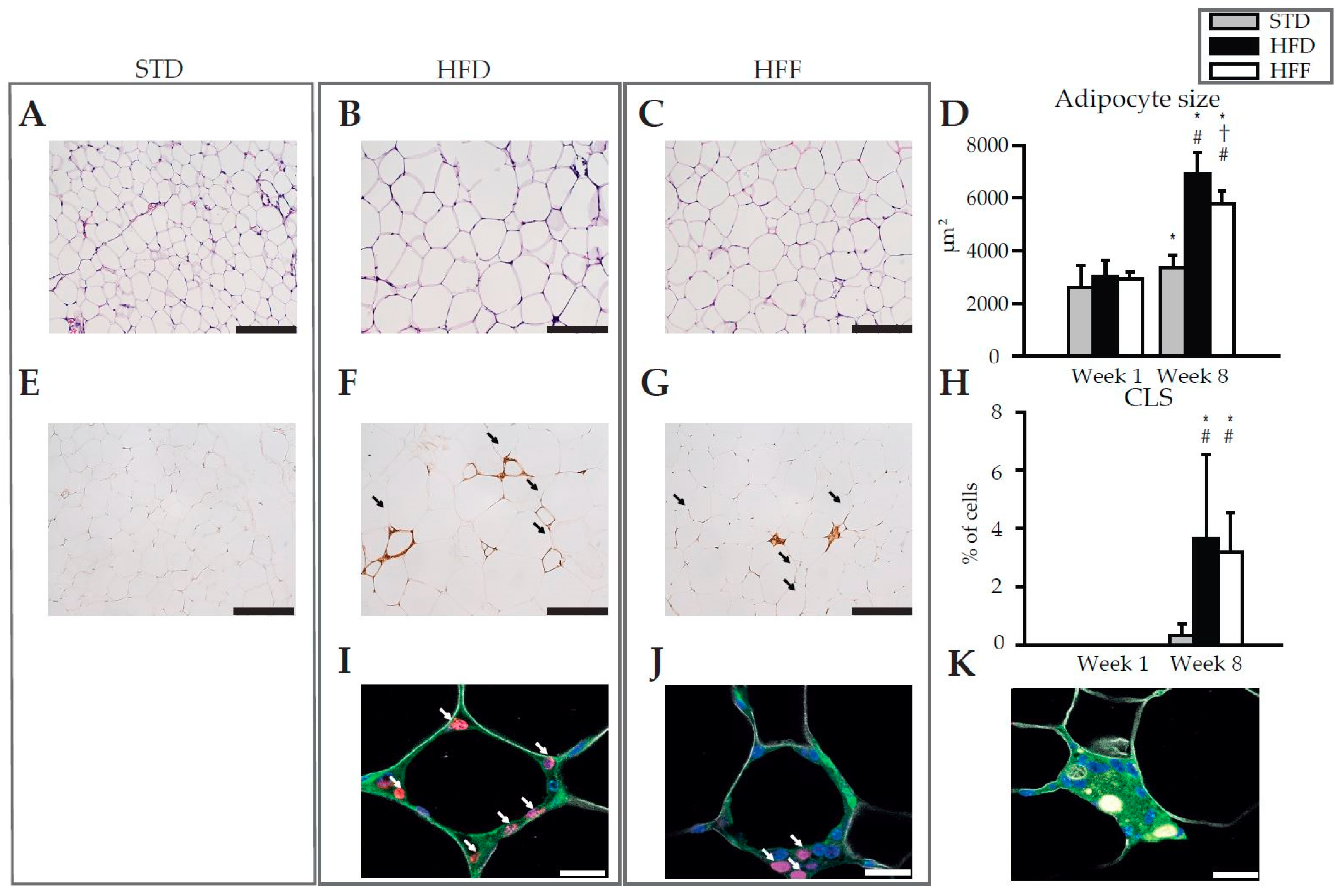 Marinedrugs 16 00515 g001