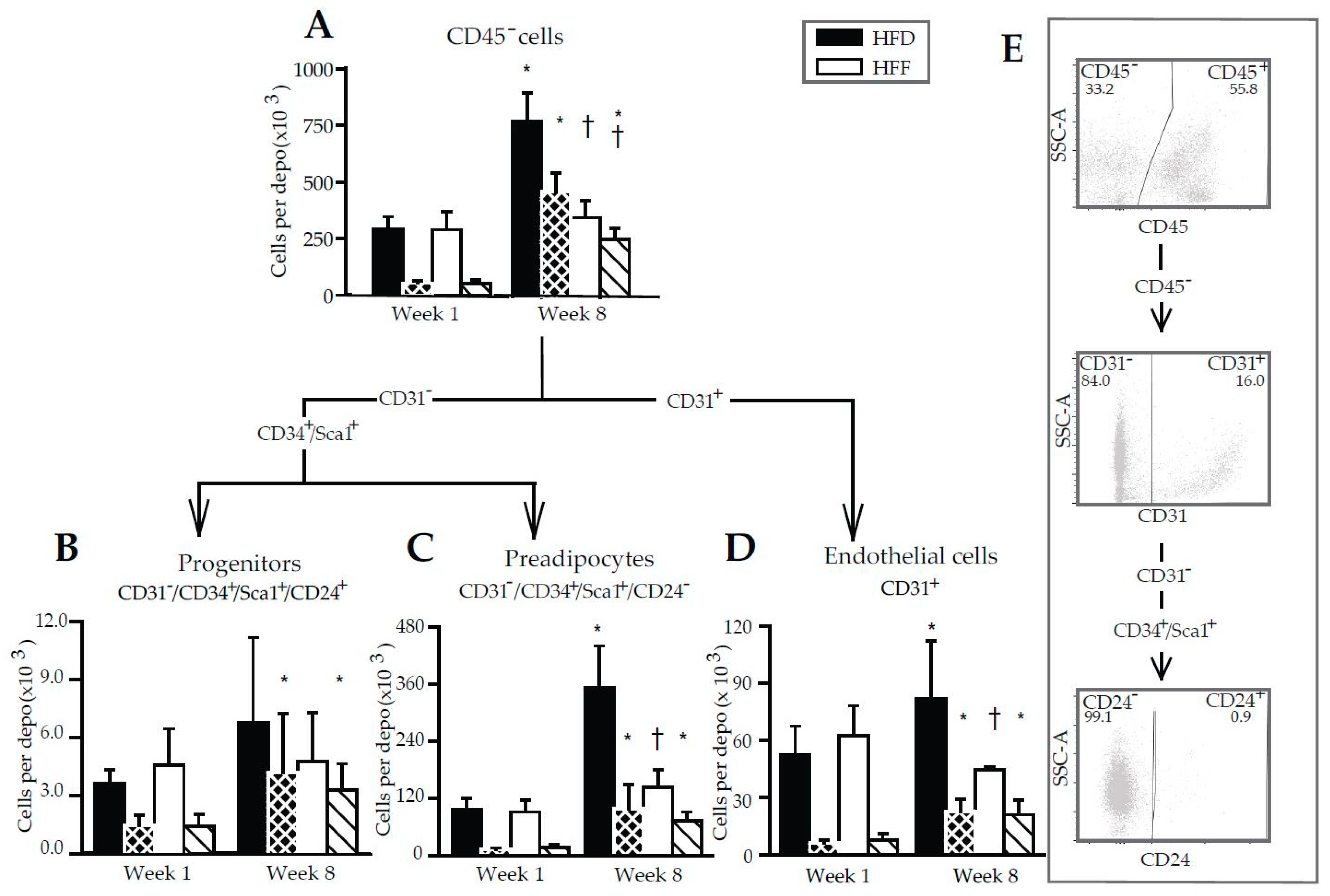 Marinedrugs 16 00515 g006