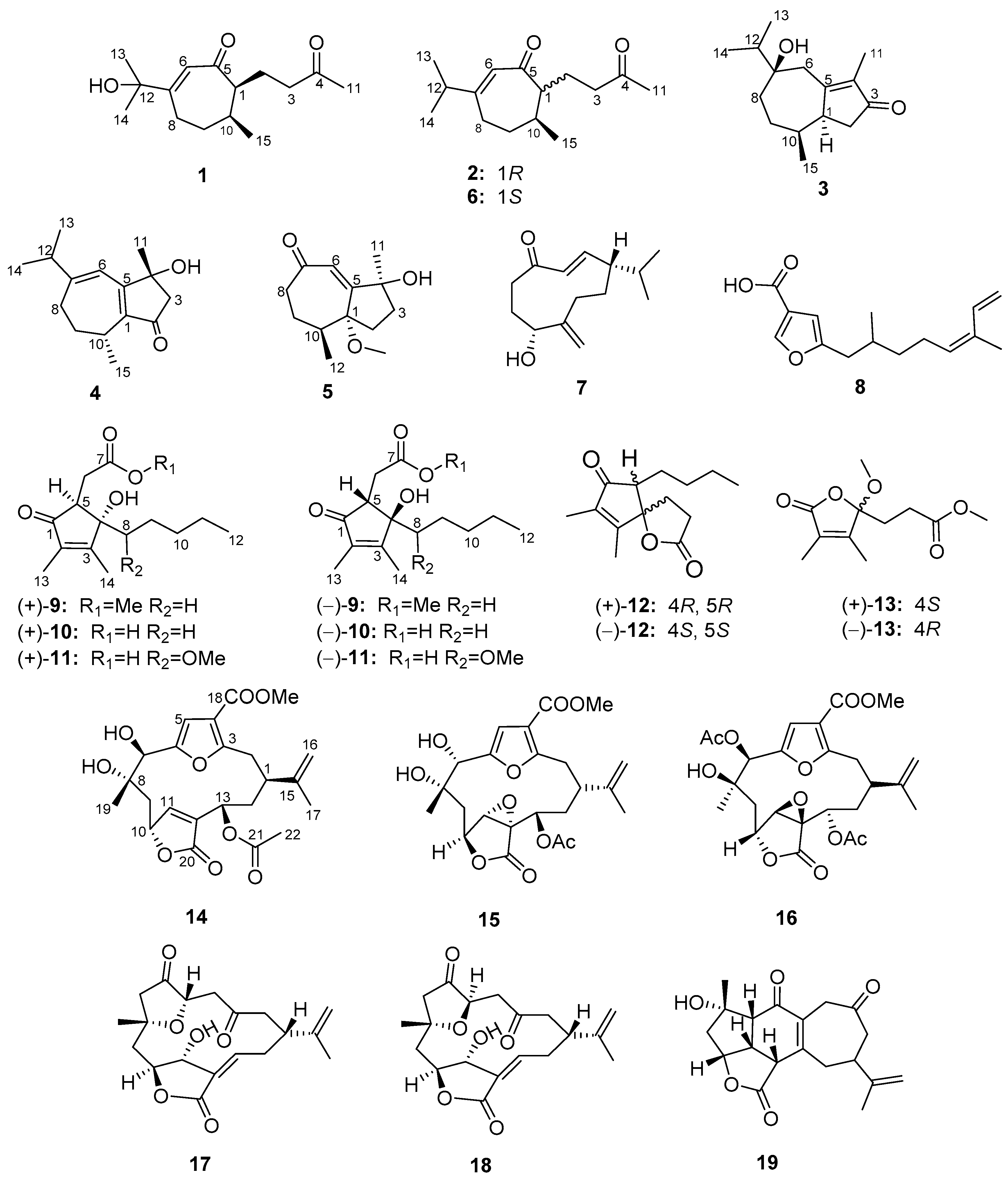 Marinedrugs 16 00517 g001 Marinedrugs 16 00517 g001