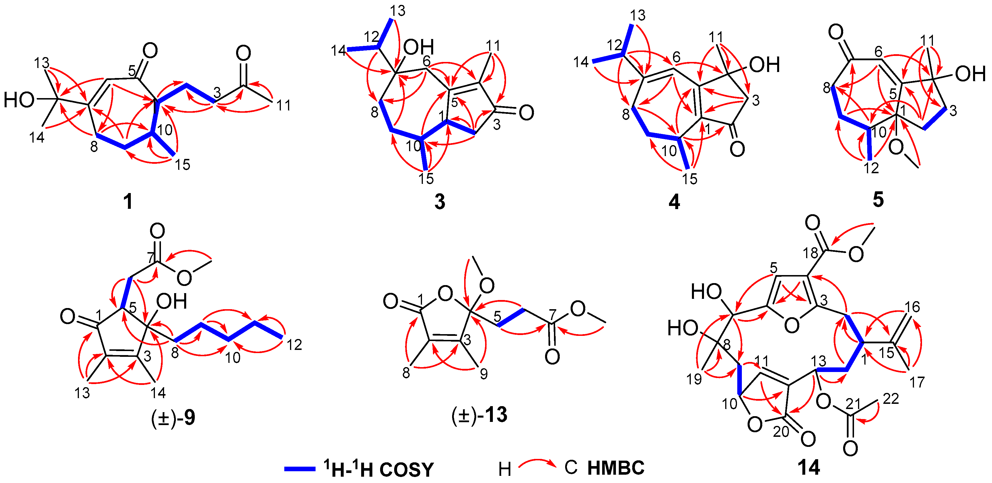 Marinedrugs 16 00517 g002 Marinedrugs 16 00517 g002