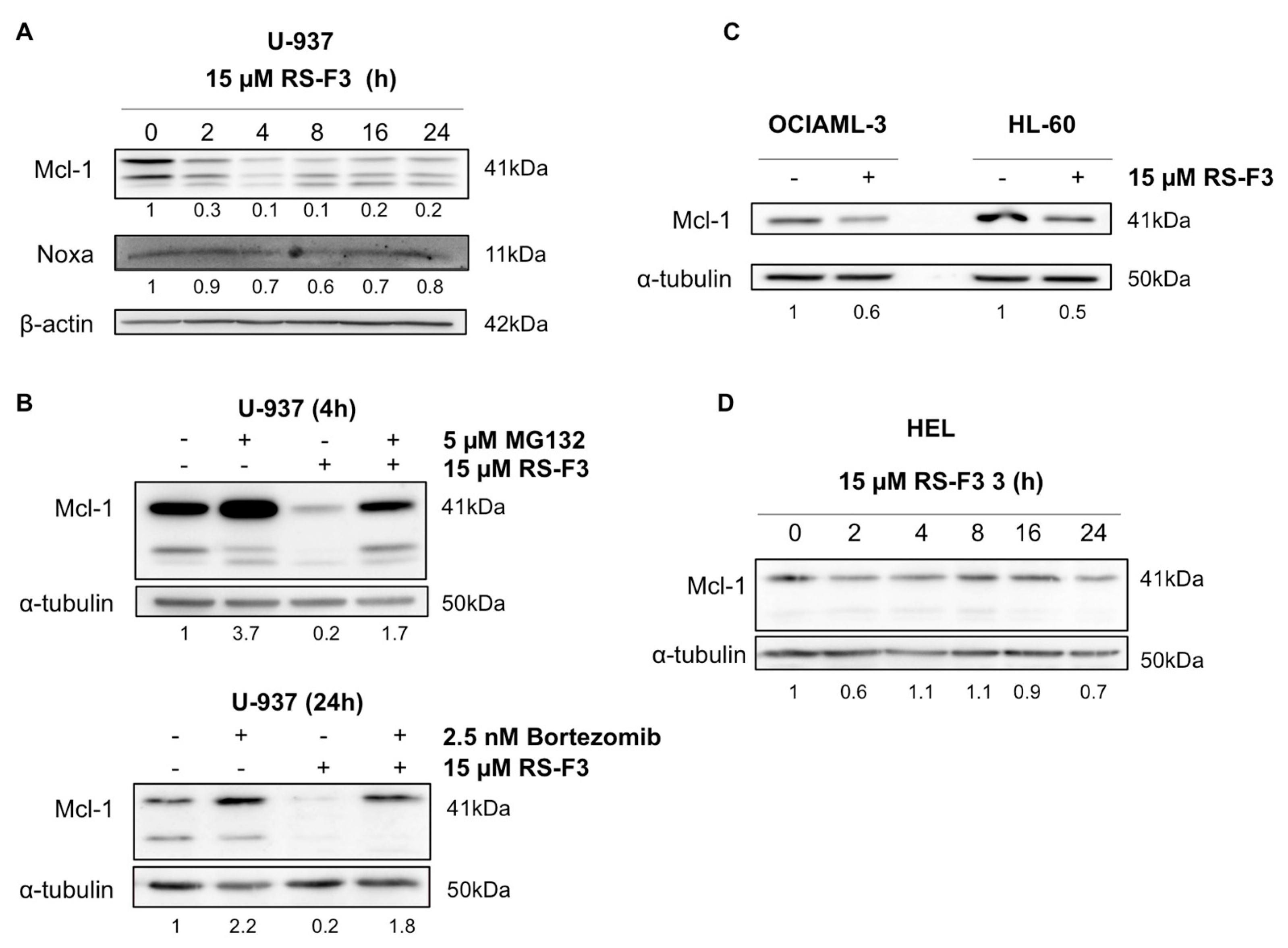 Marinedrugs 16 00518 g003 Marinedrugs 16 00518 g003