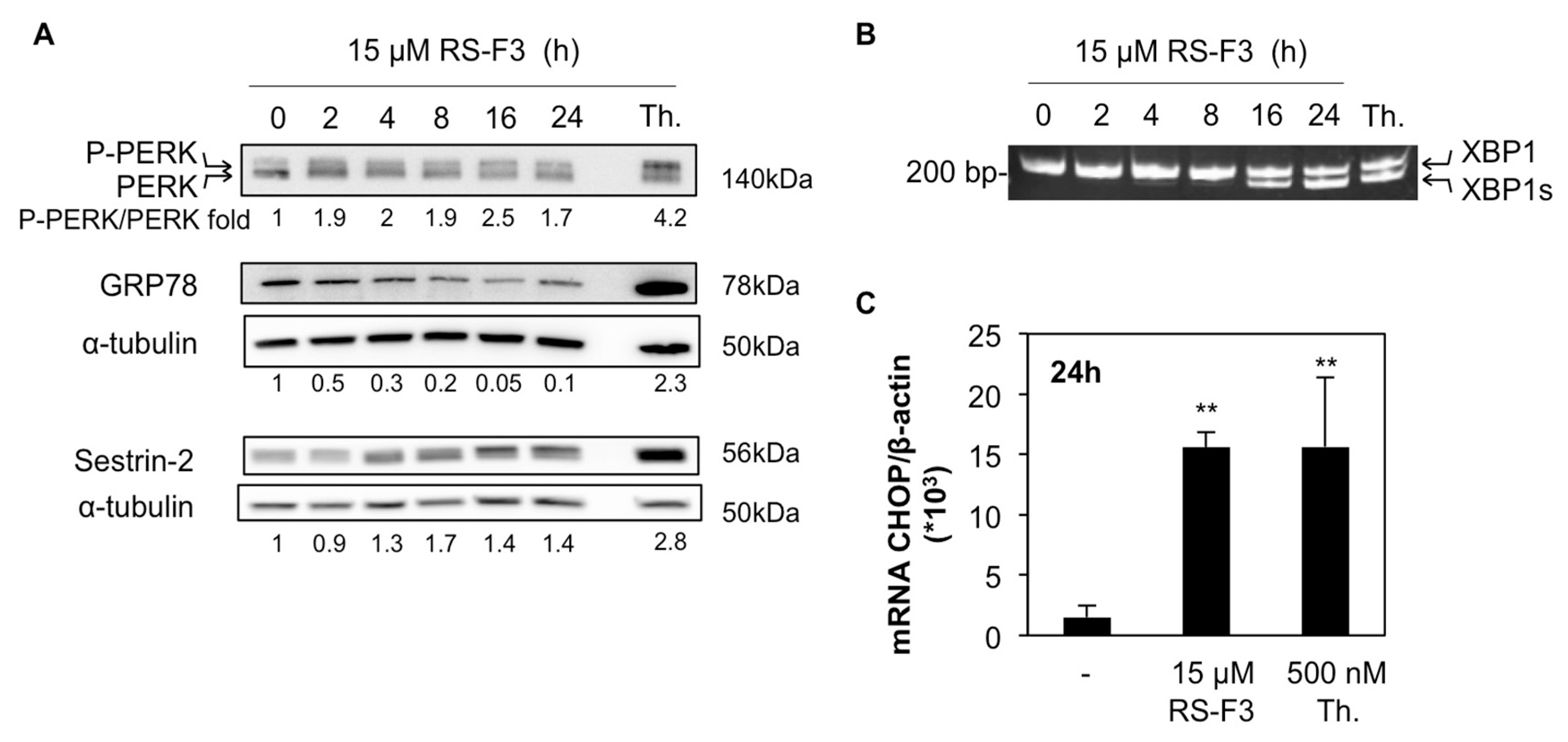 Marinedrugs 16 00518 g004 Marinedrugs 16 00518 g004