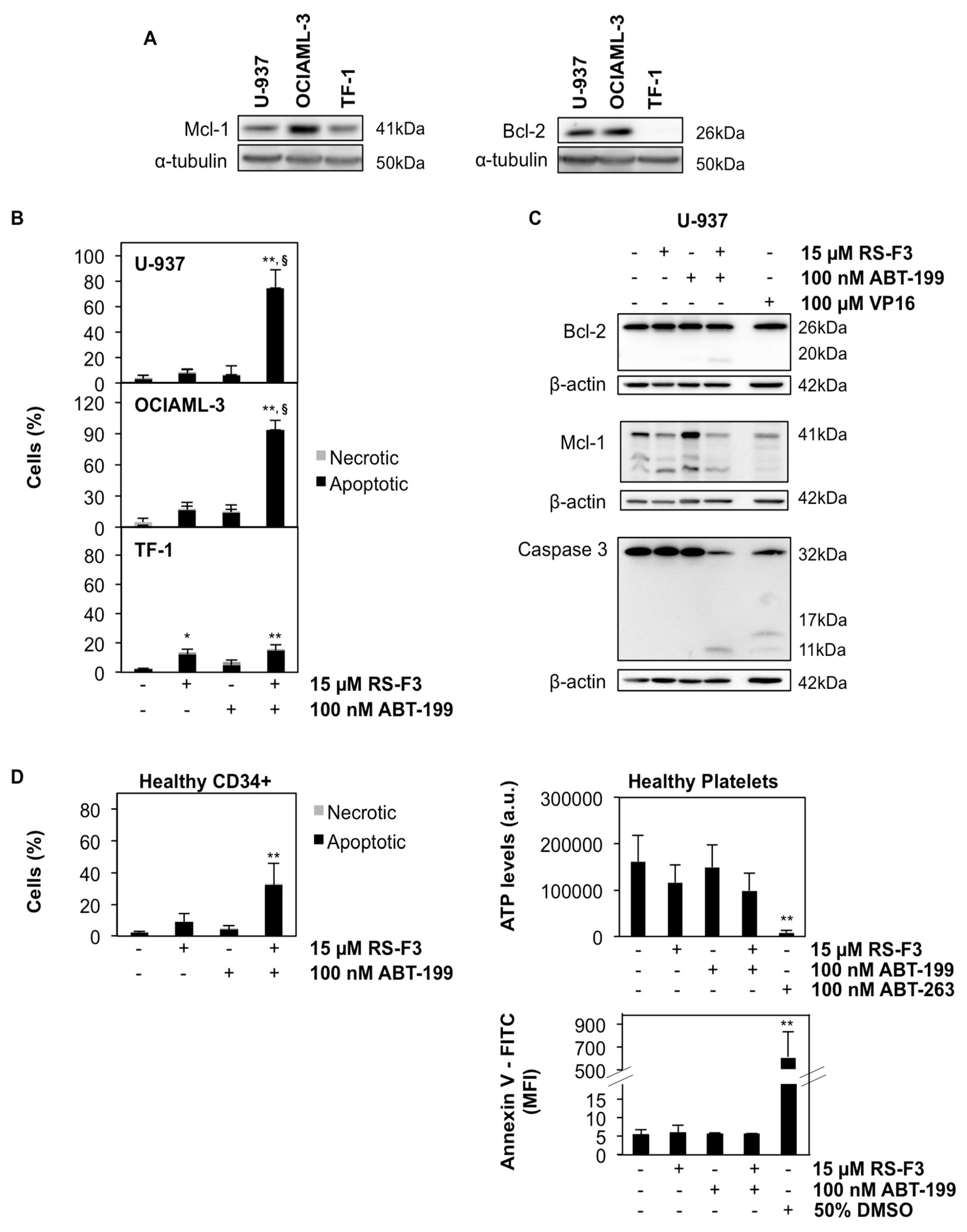 Marinedrugs 16 00518 g005 Marinedrugs 16 00518 g005