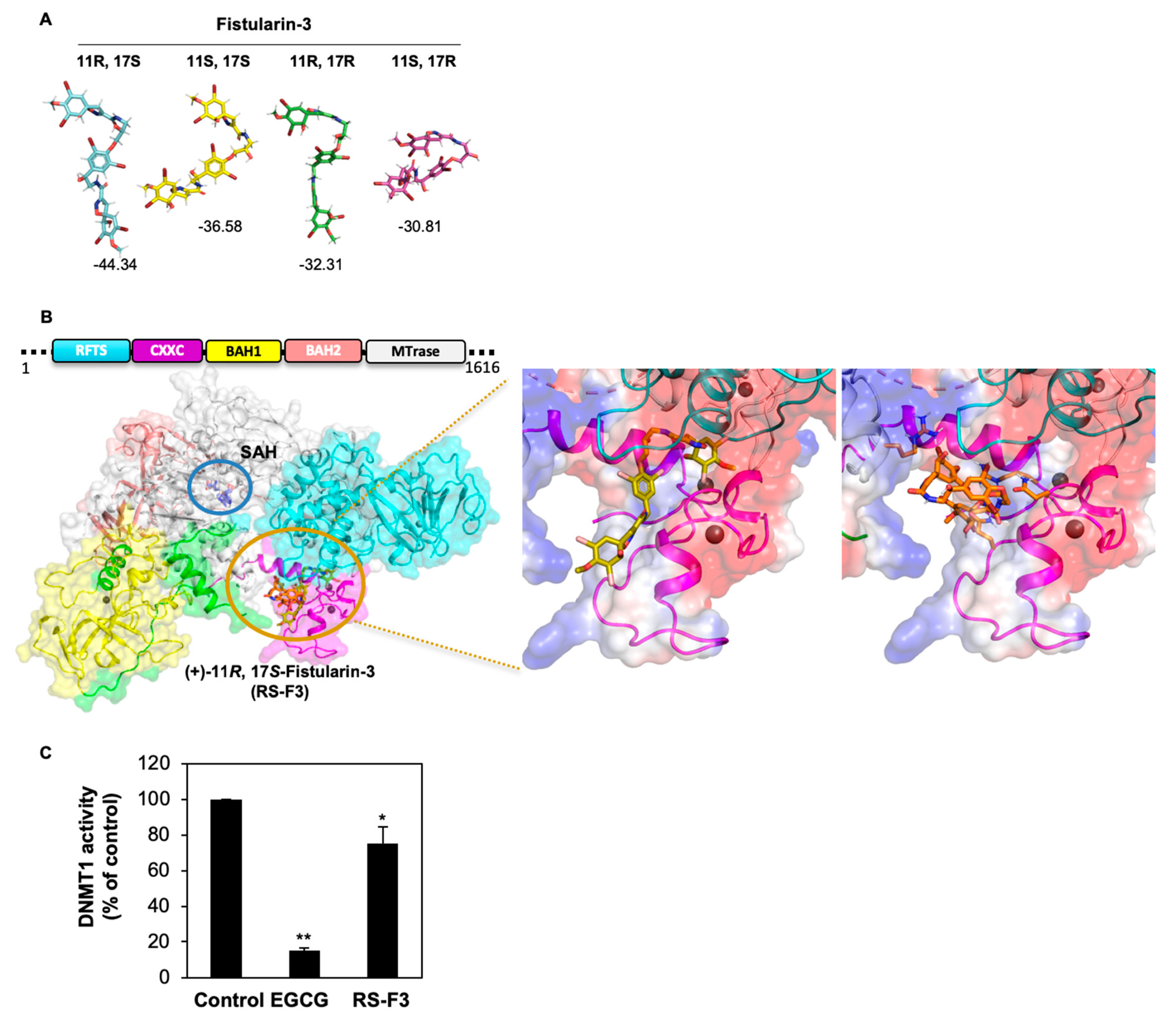 Marinedrugs 16 00518 g006 Marinedrugs 16 00518 g006
