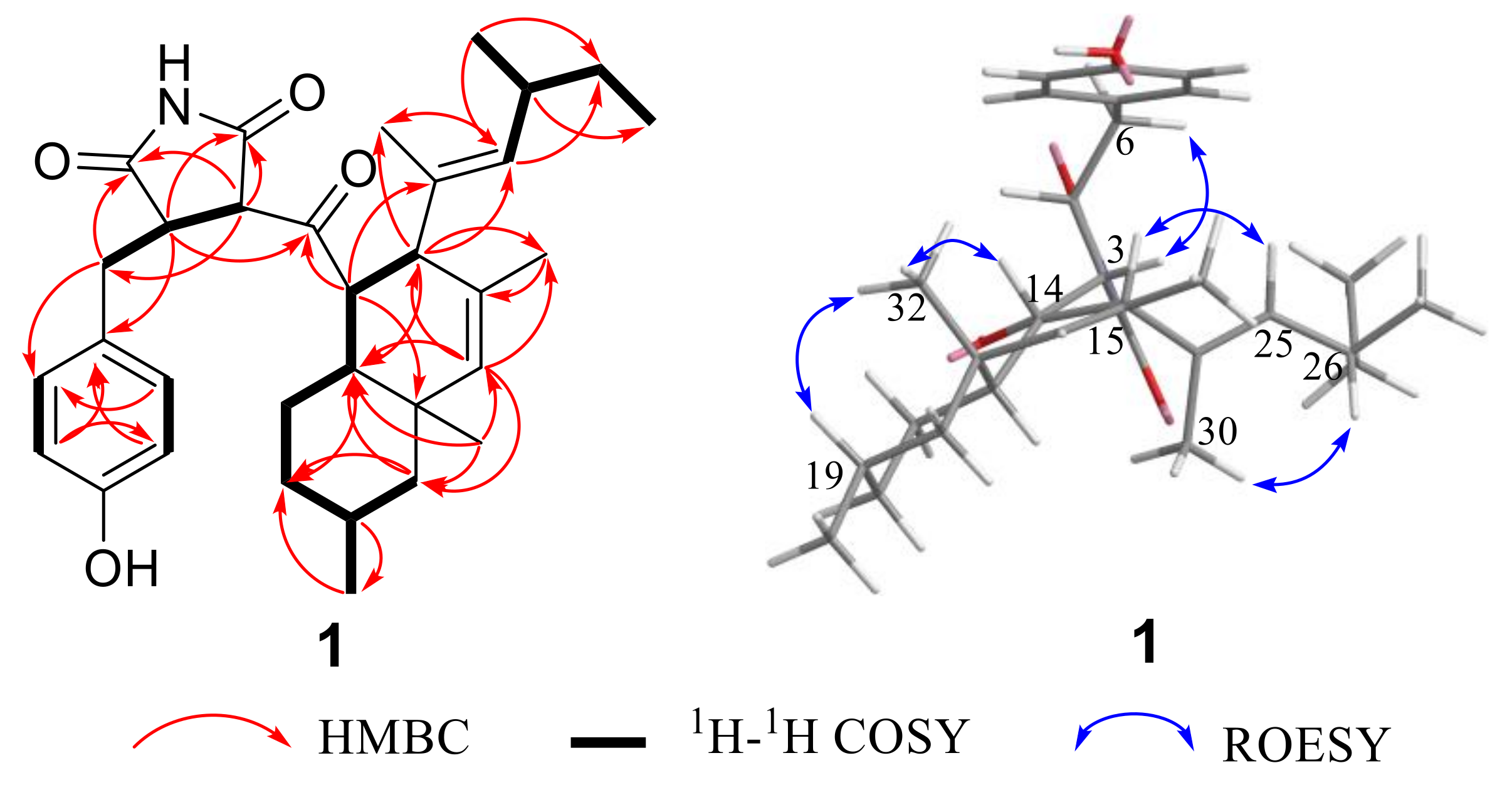 Marinedrugs 17 00004 g002