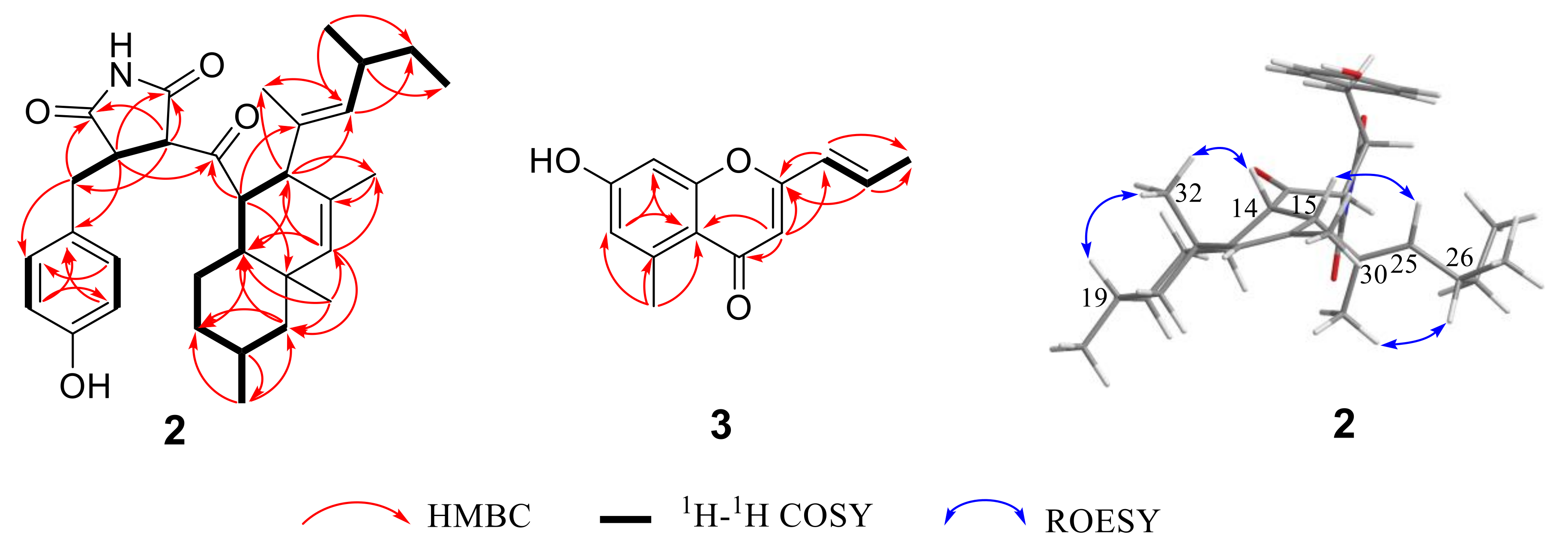 Marinedrugs 17 00004 g003