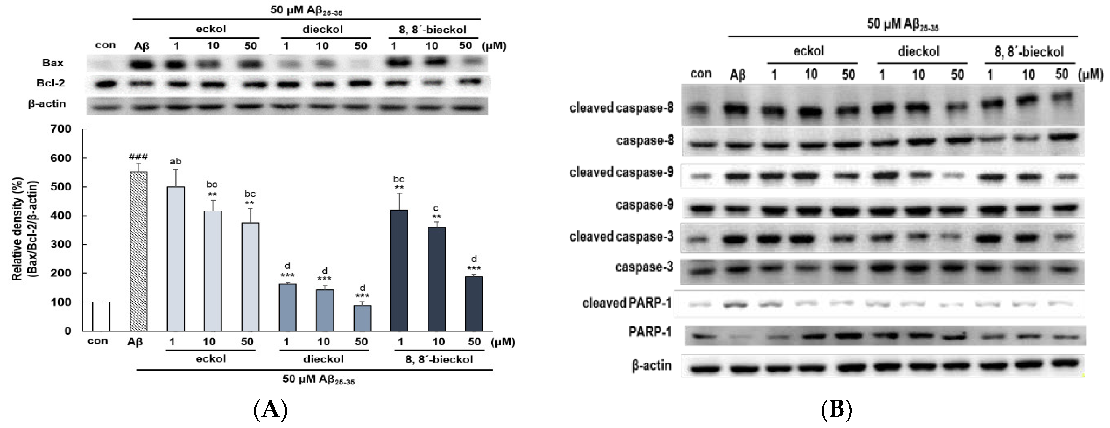 Marinedrugs 17 00007 g004a