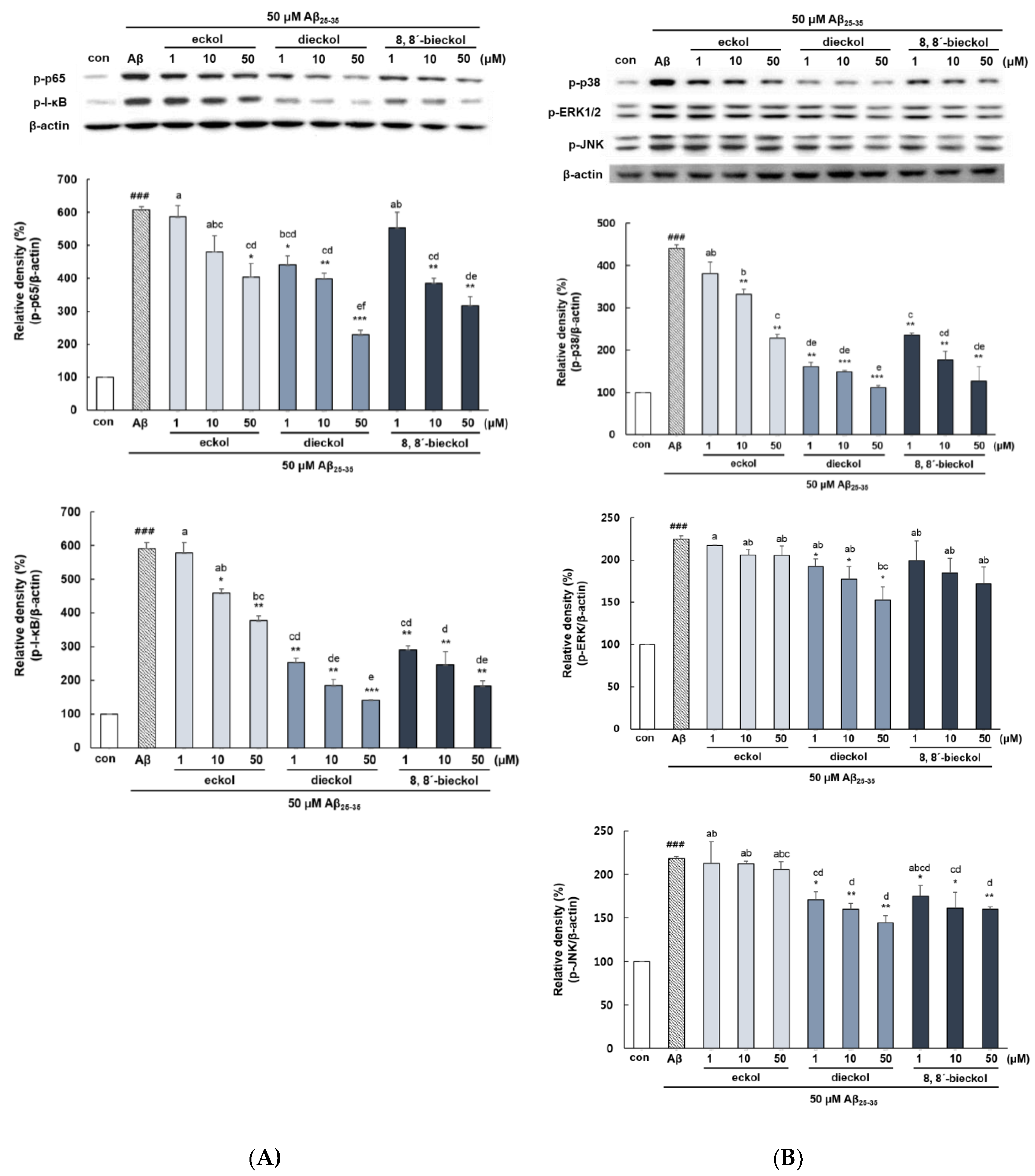 Marinedrugs 17 00007 g006